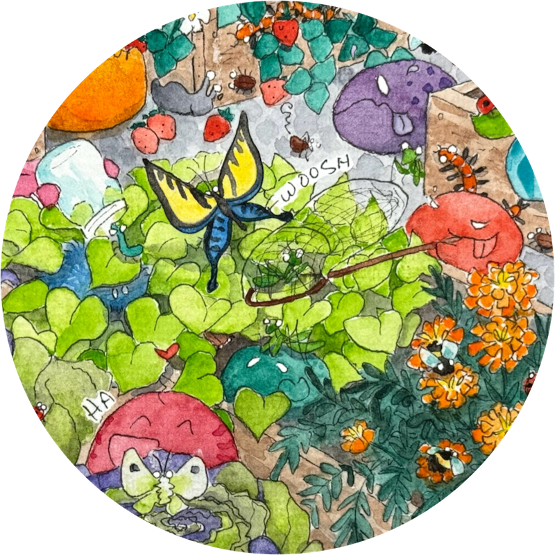 Bug Catching Seek and Find Postcard Graphic by Erica Christensen