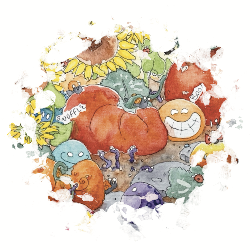 Pumpkin Patch Seek and Find Postcard Graphic by Erica Christensen