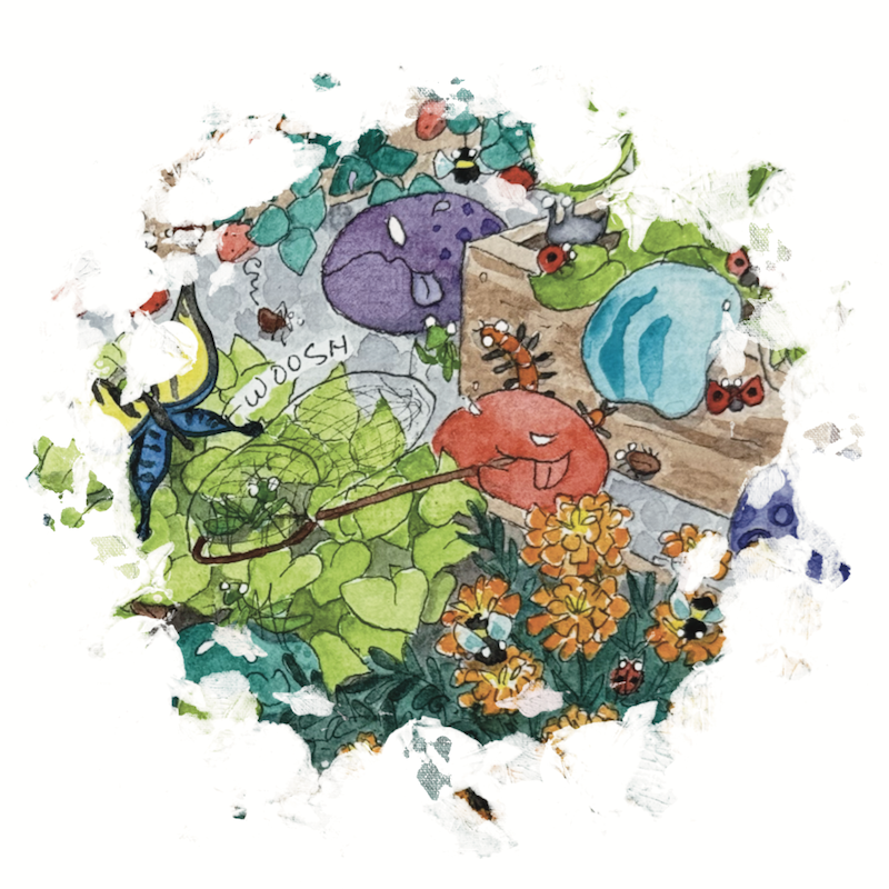 Bug Catching Seek and Find Postcard Graphic by Erica Christensen