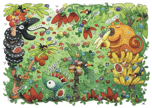 Jungle Gym - A Jelly Garden Seek & Find Maze Adventure by Erica Christensen