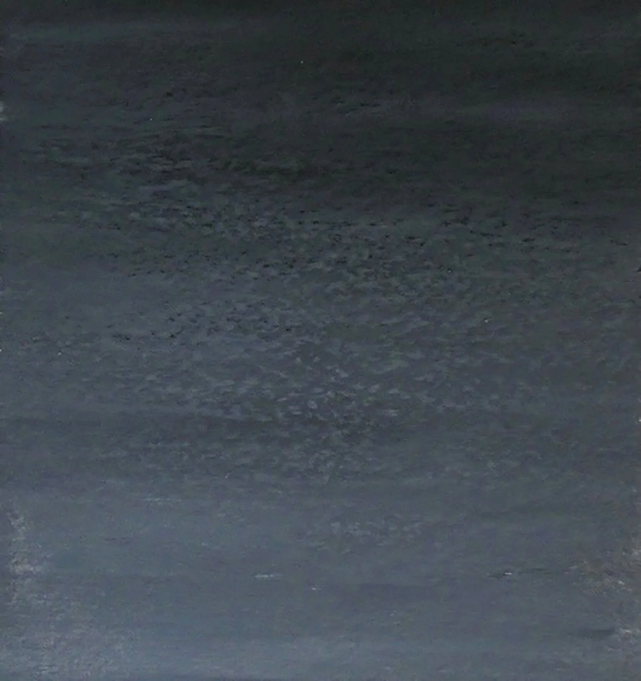 ART IN THE TIMES Bloom at Williams