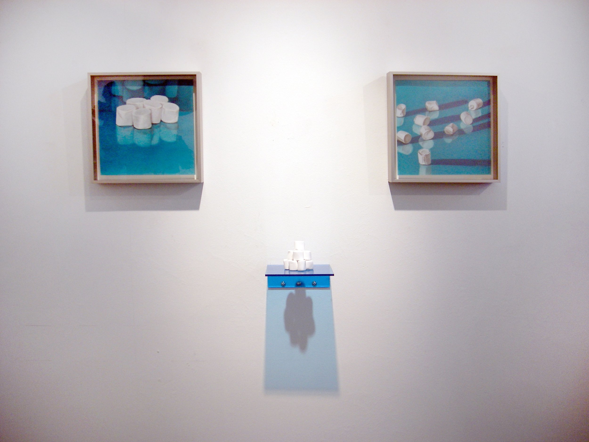 Installation view, Mercury 20 Gallery, 2007