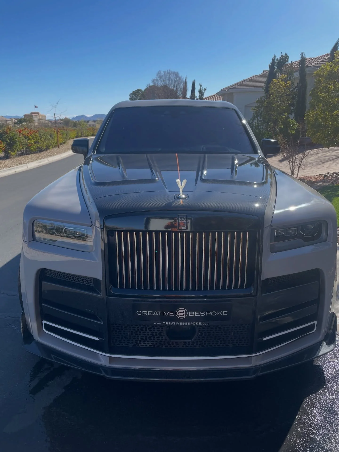 Look at that SHINE ✨