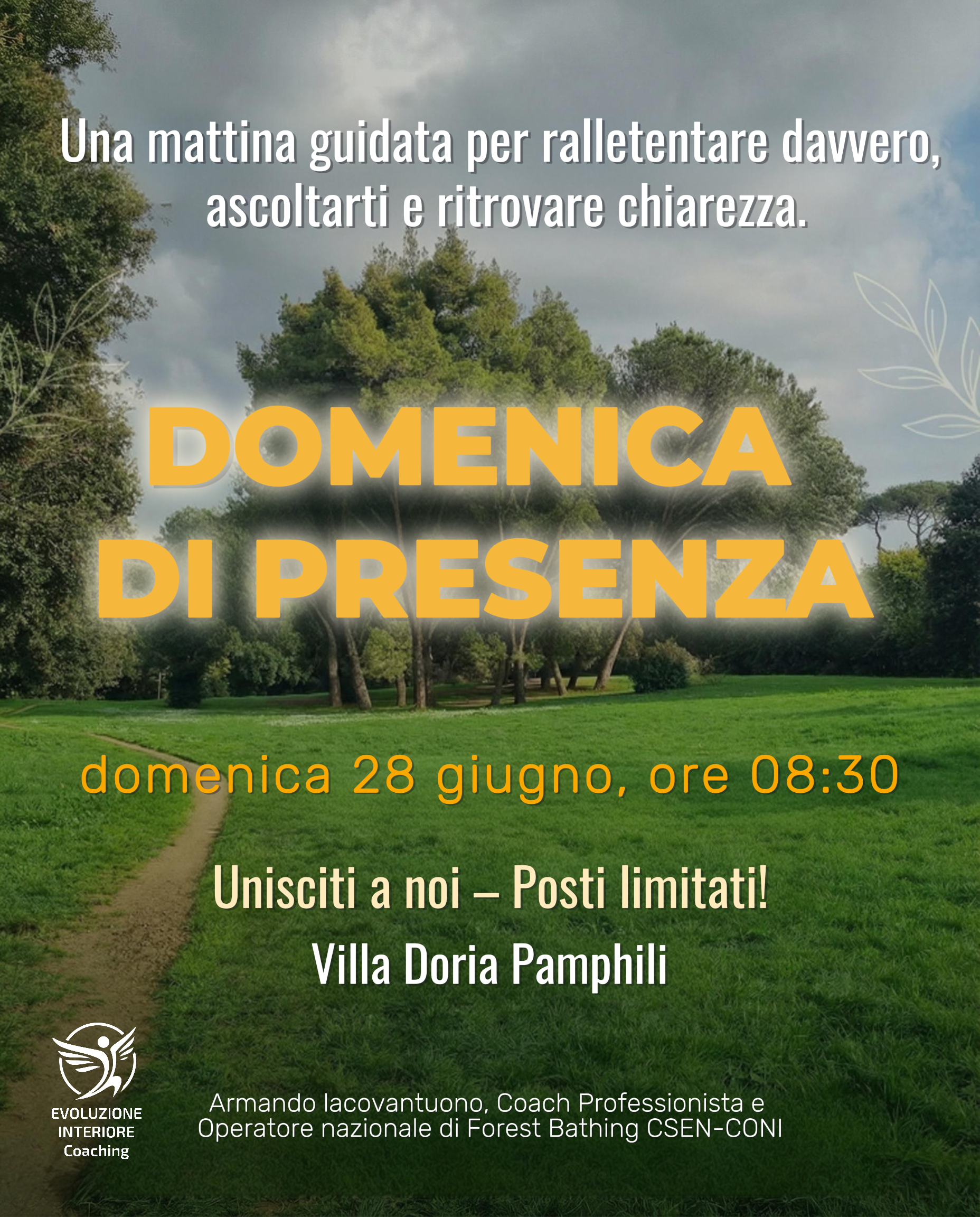 21 aprile img peer negozio.png