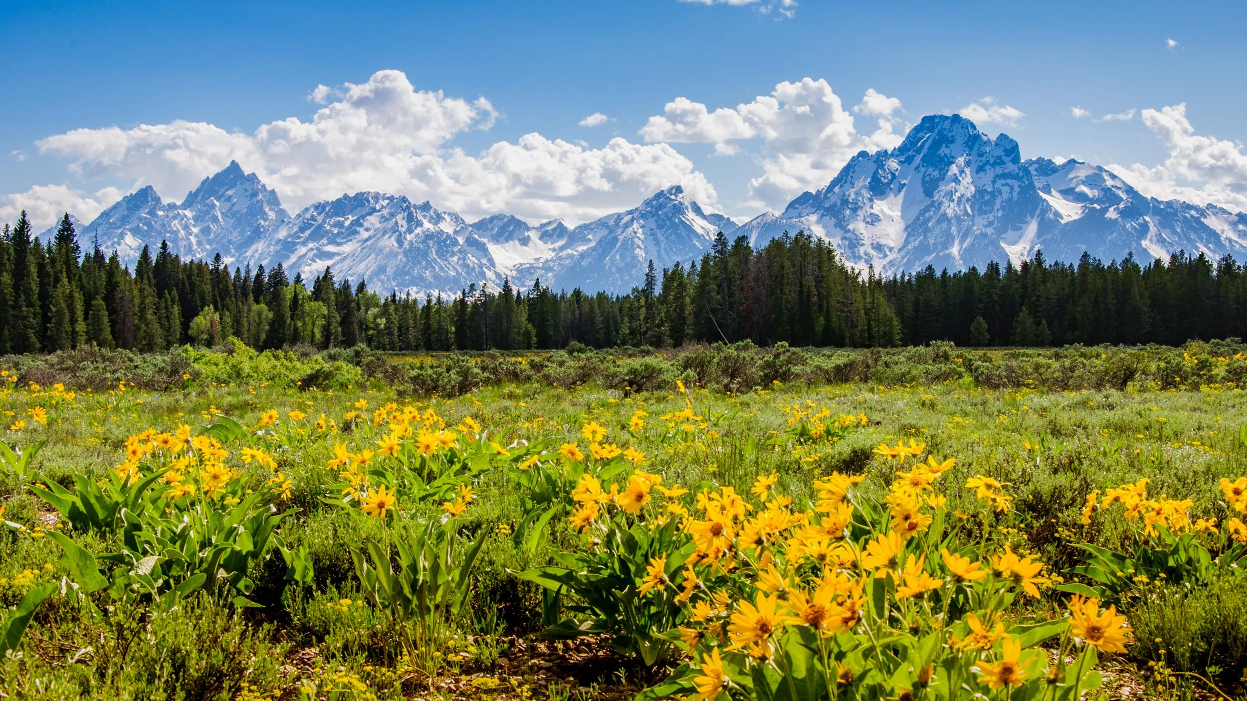 030GrandTetons.jpg