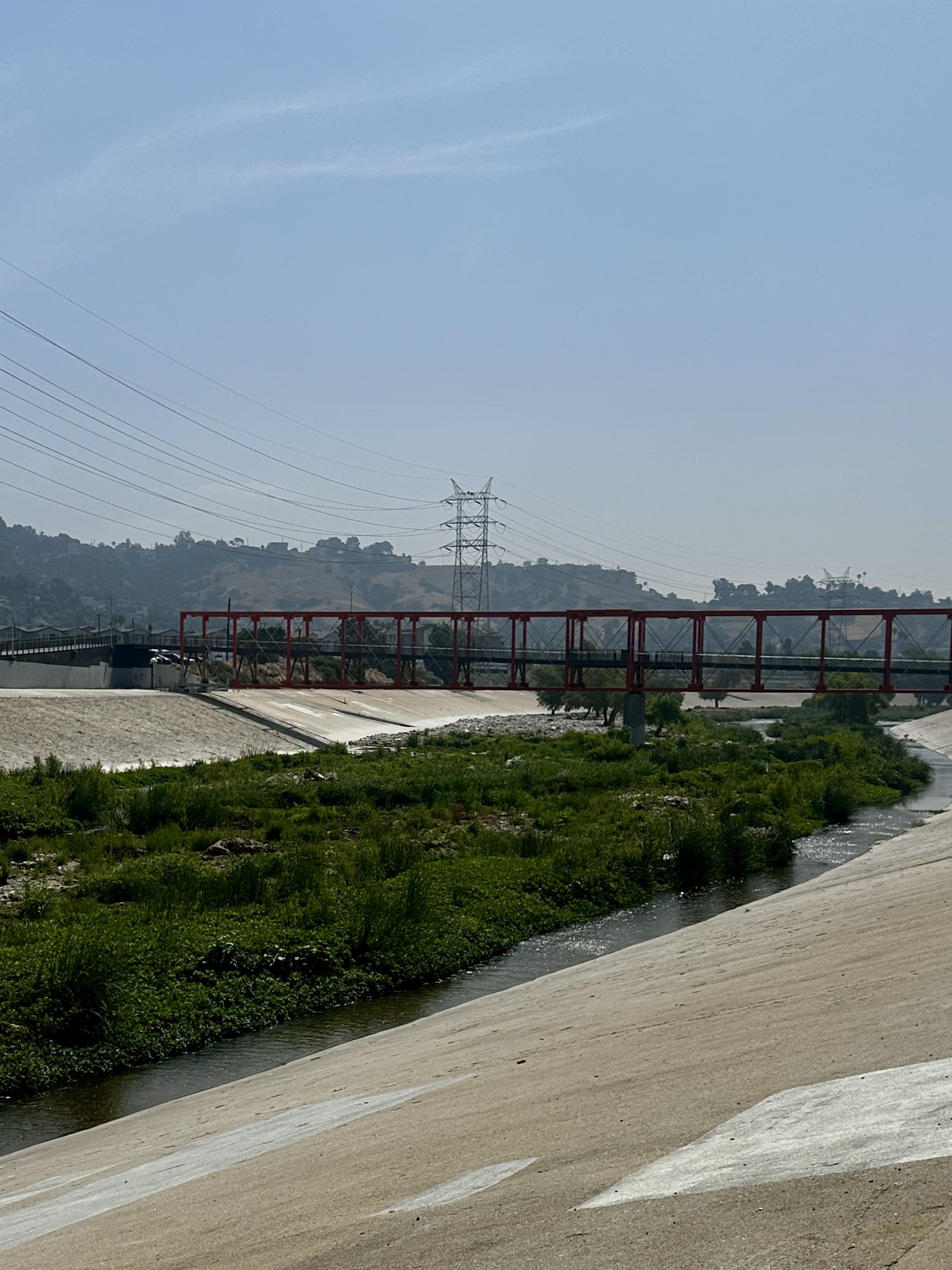 Los Angeles Birding: The Los Angeles River