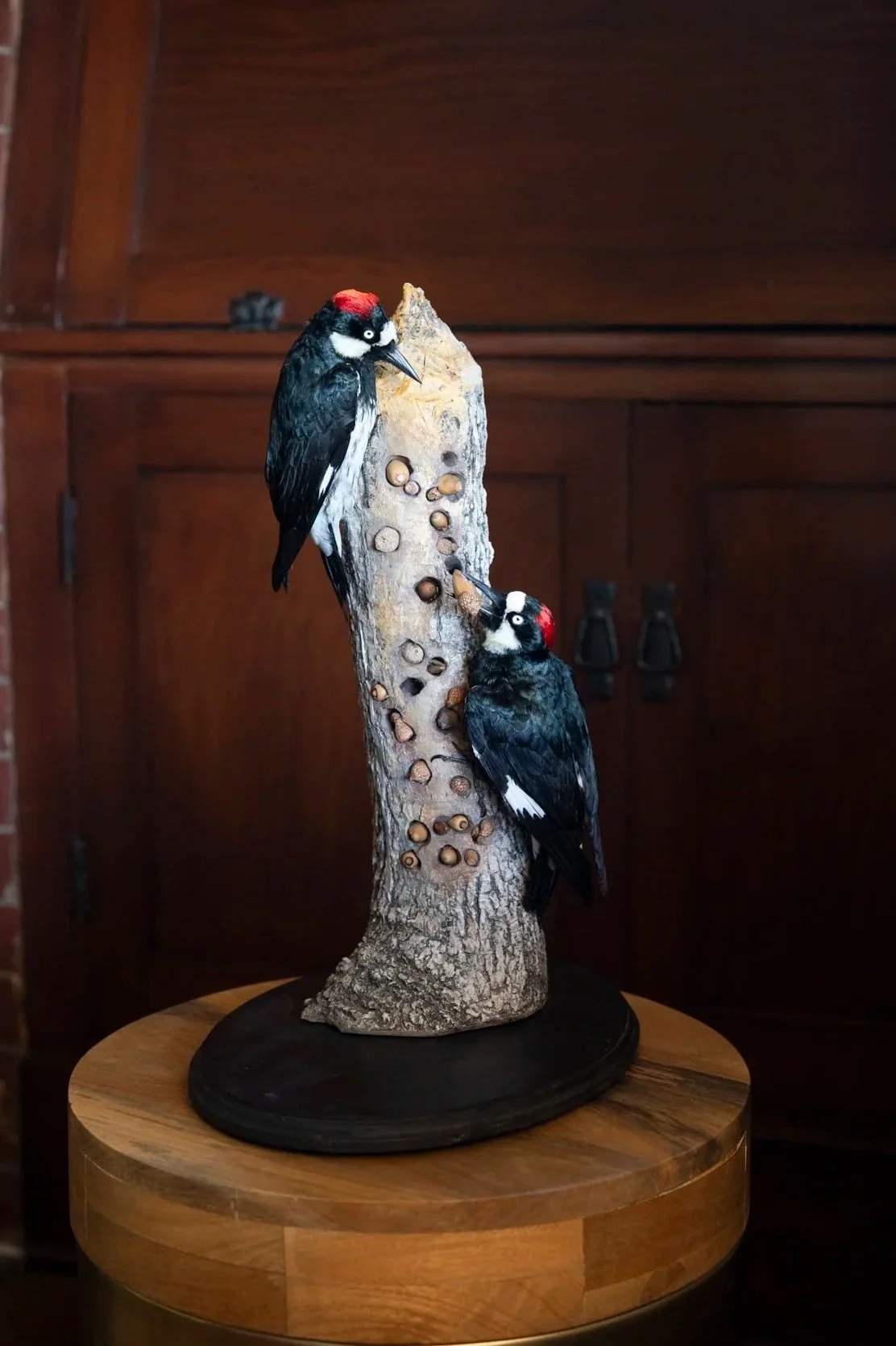 Museum-quality taxidermy display of two acorn woodpeckers posed on a traditional granary structure, created by Strong Taxidermy and inspired by natural history and avian behavior.