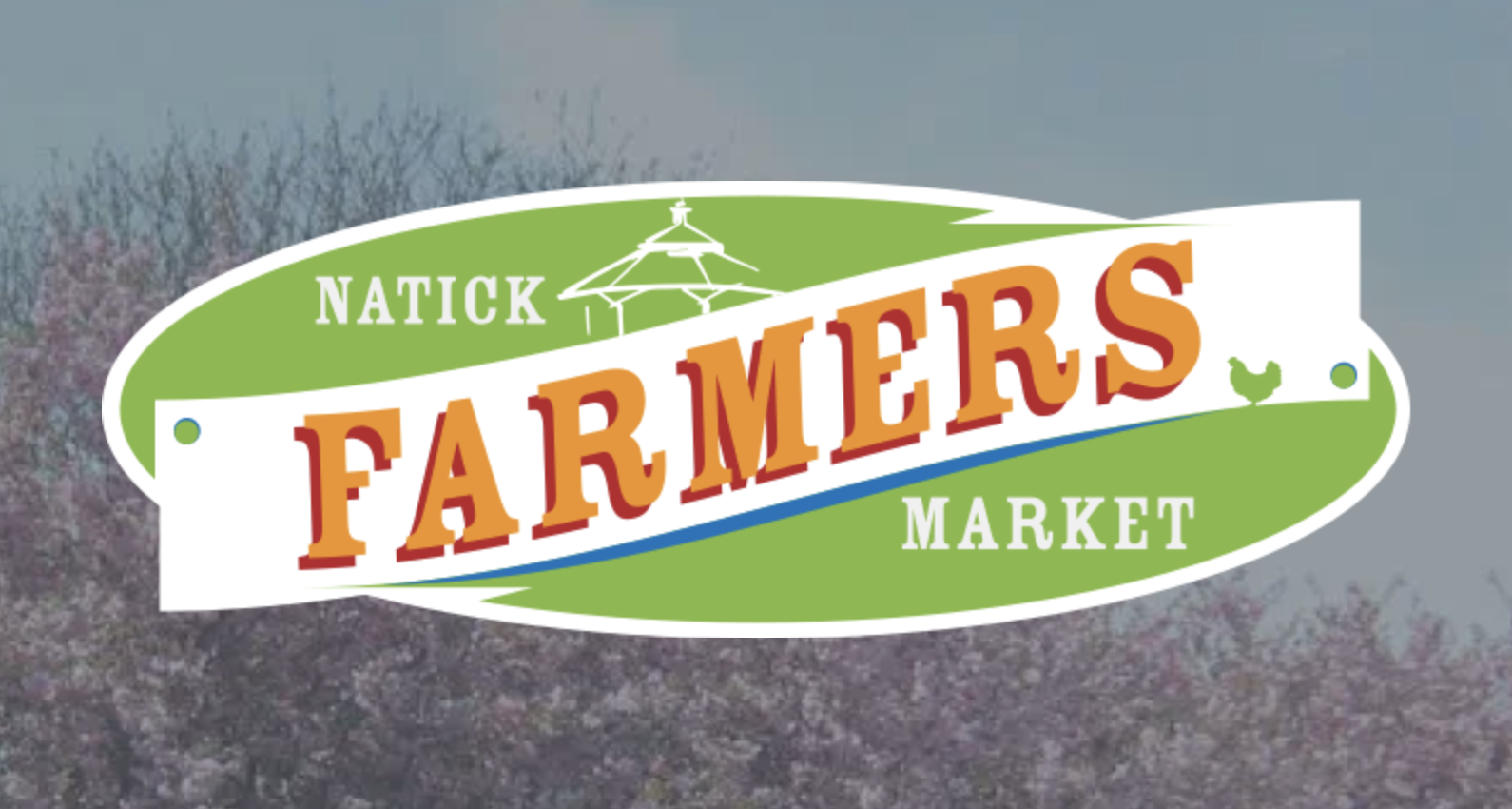 Natick Farmer's Market