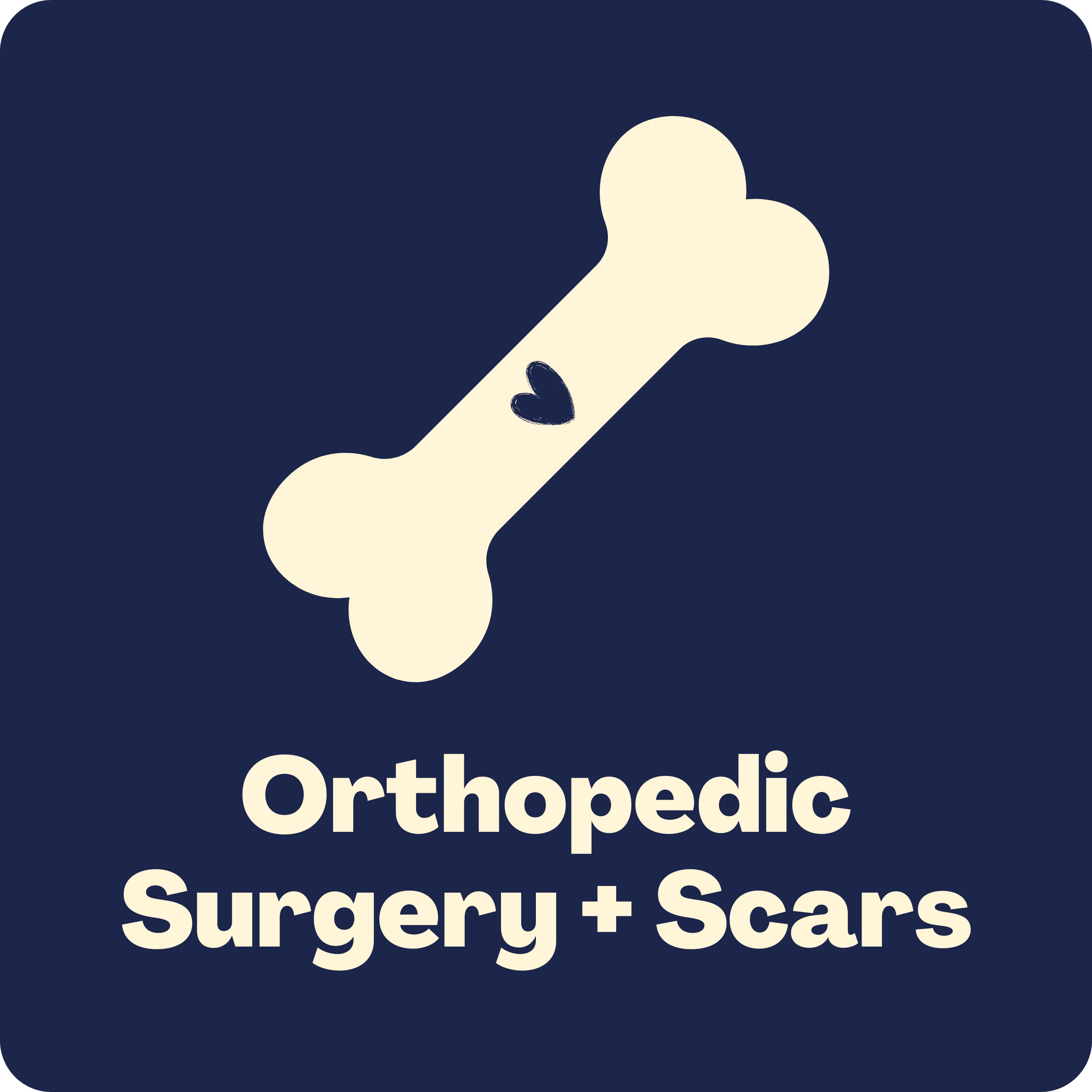 Orthopedic.png