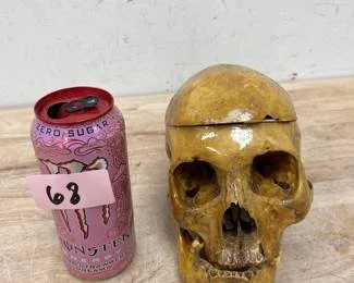 A vintage preserved Human Skull listed in an online auction in st louis