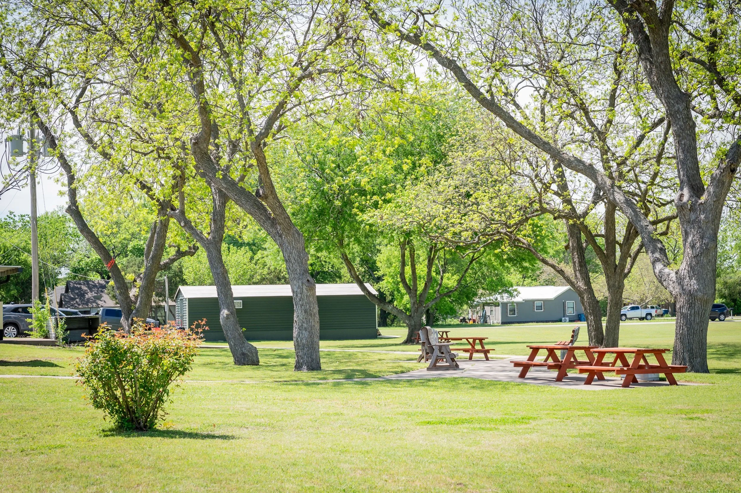 A park with green grass, multiple large trees with light green leaves, and scattered benches and picnic tables. There are small buildings and parked cars in the background.