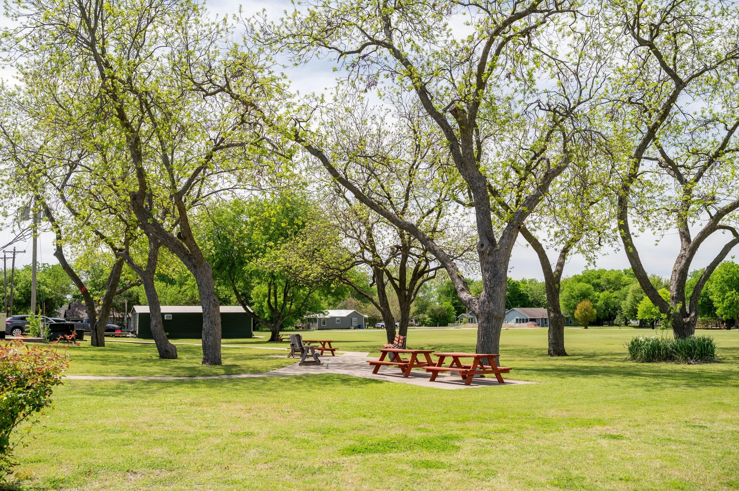 A park with green grass and tall trees with emerging spring leaves. There are picnic tables and a paved path, with houses and parked cars visible in the background under an overcast sky.