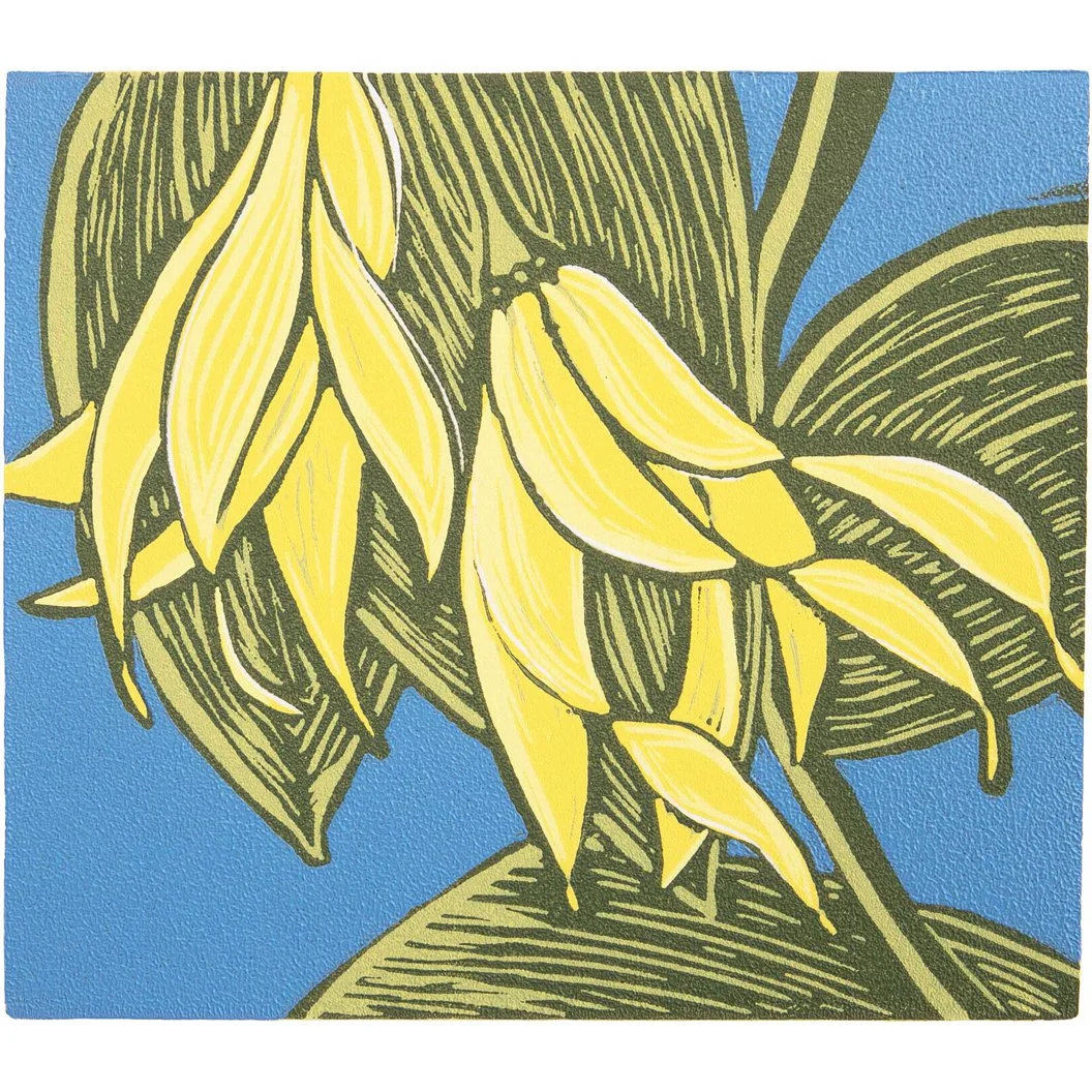 Lg Flowered Bellwort.jpg