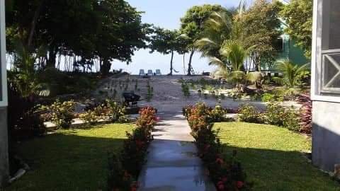 Pathway leading to a beach area with trees and tropical plants on either side.