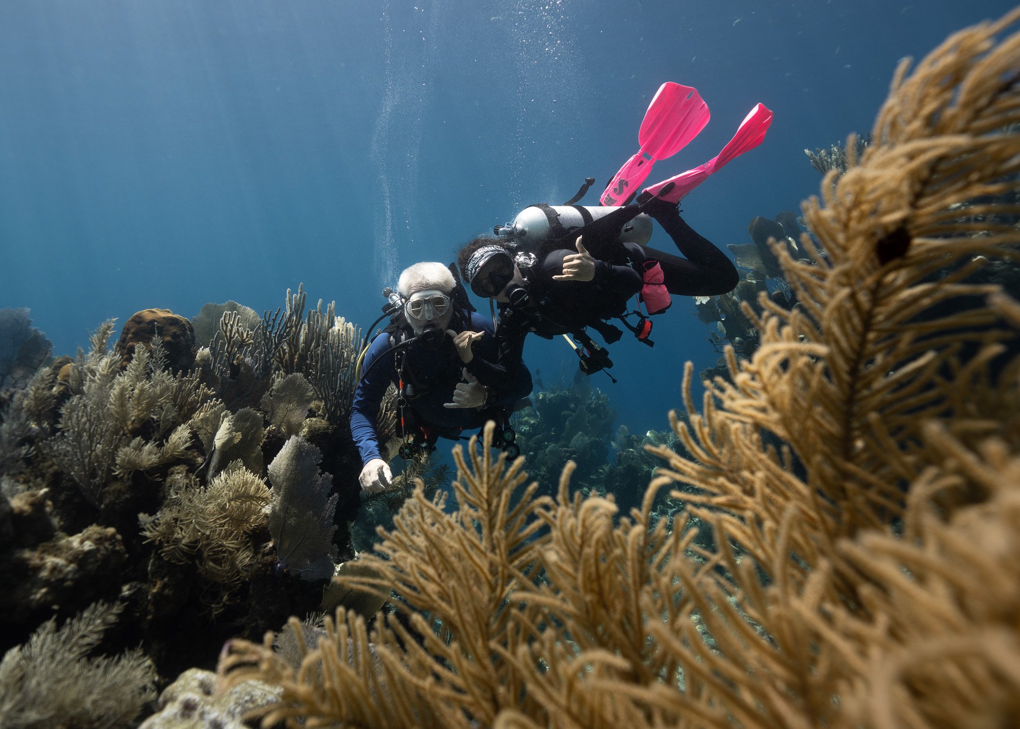 Two scuba divers exploring a coral reef underwater, surrounded by various corals and marine life.