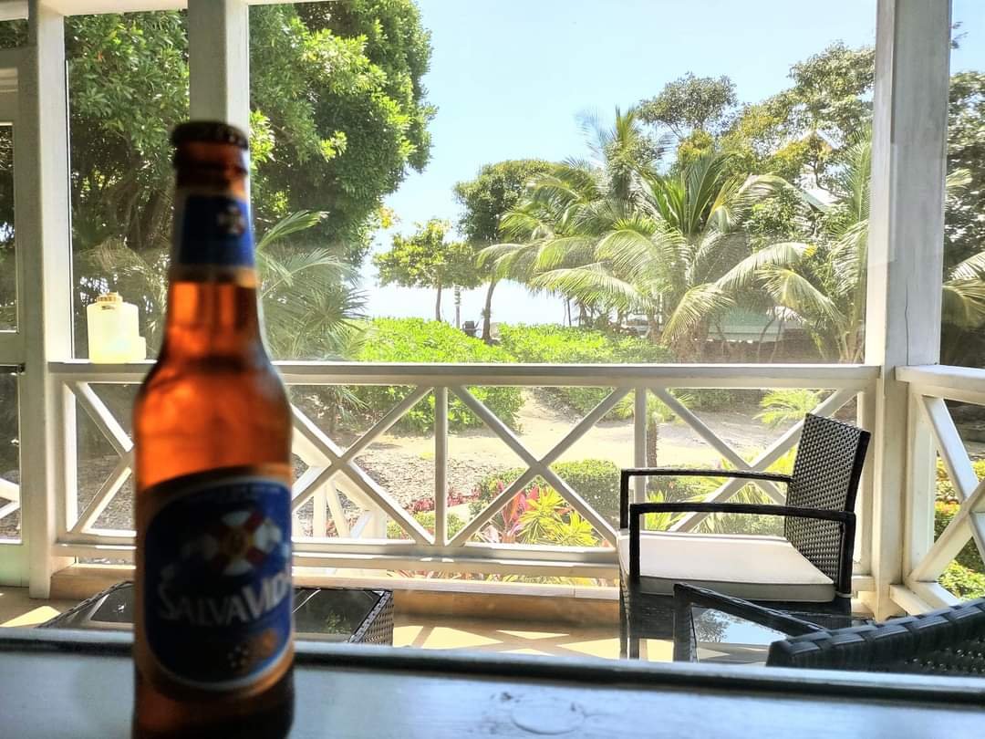 View of a screened porch overlooking a tropical landscape with palm trees, bushes, and a clear blue sky; a bottle of Salva Vida beer on a table in the foreground.