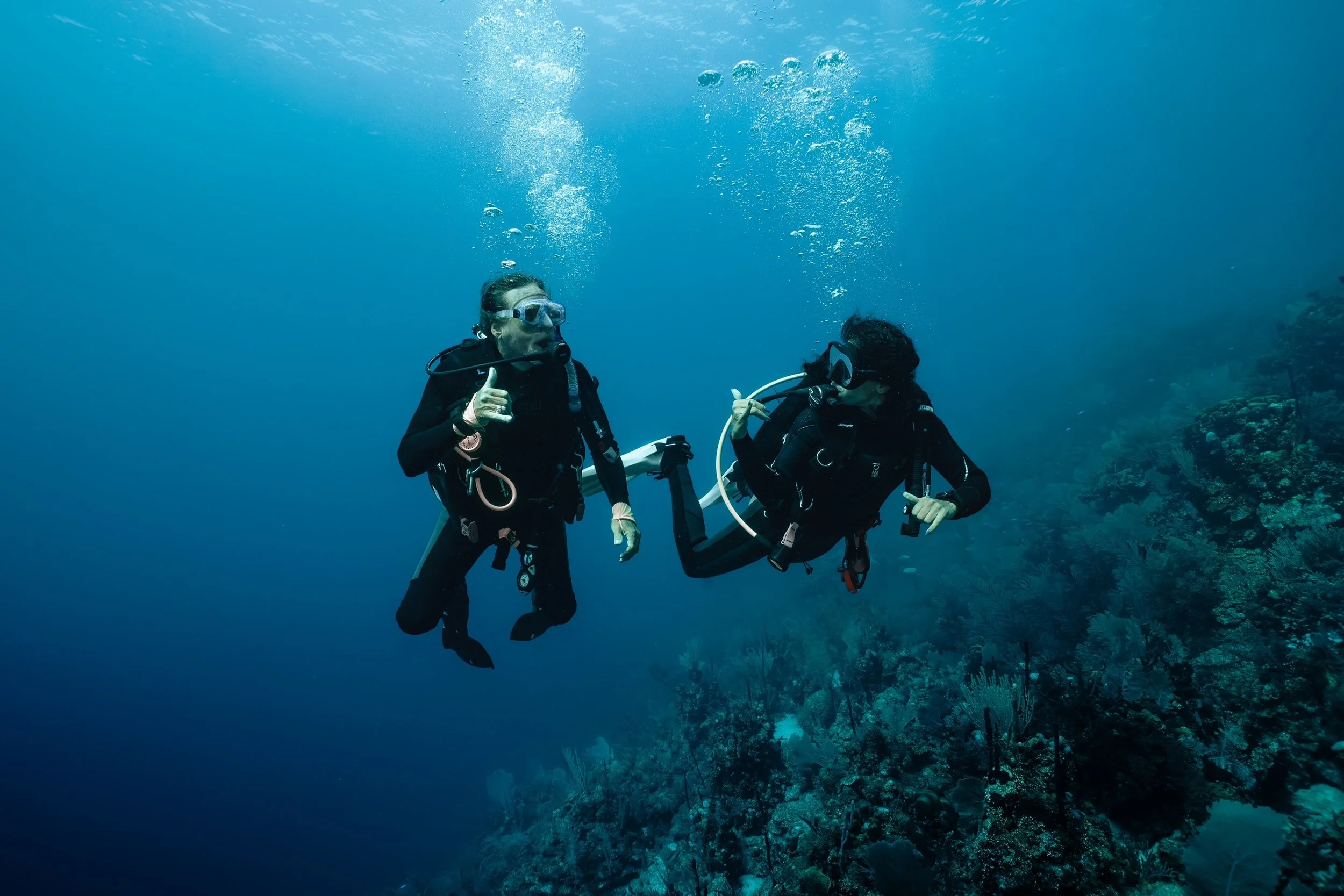 Learn to Dive In Paradise - PADI Certification Course