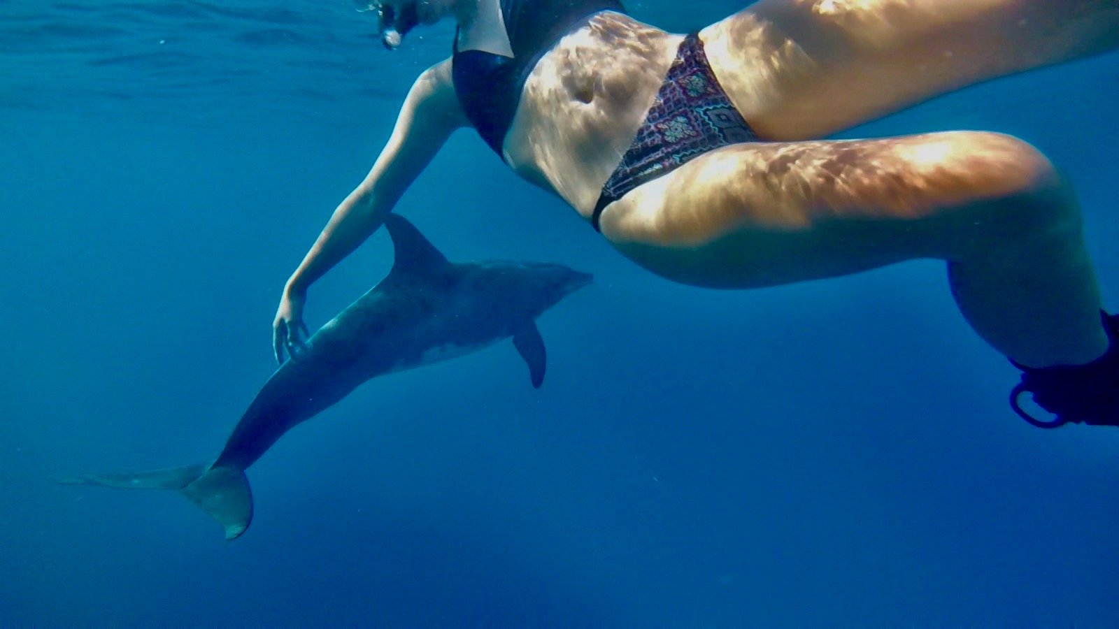 A person swimming underwater with a dolphin.