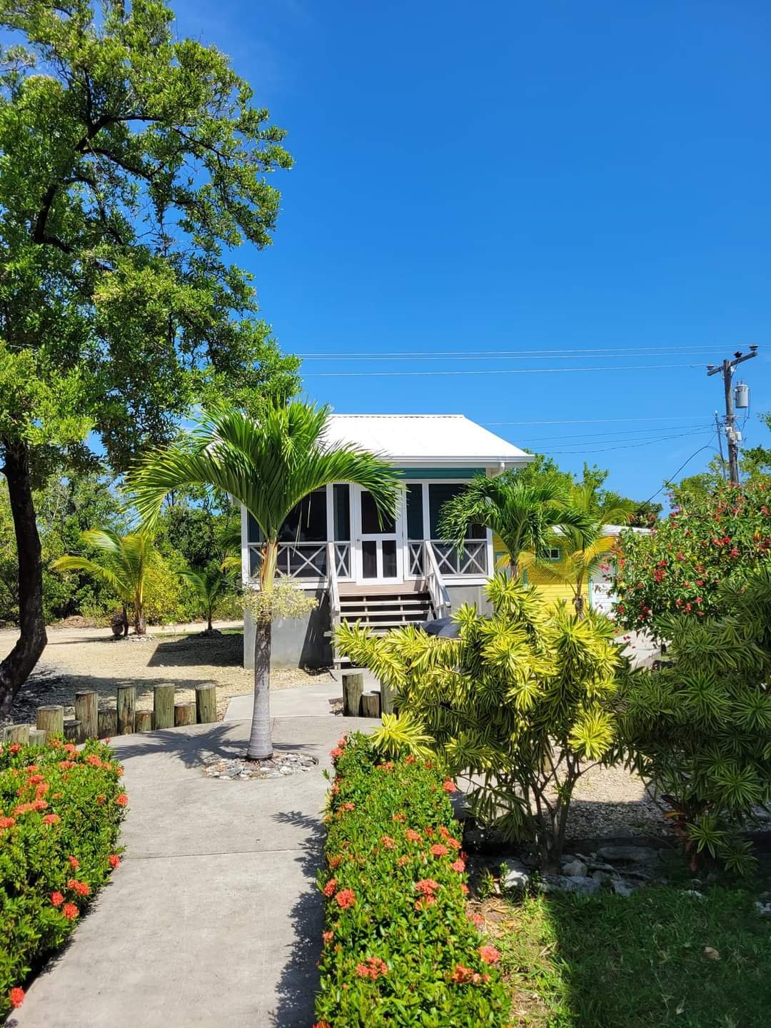 A tropical house with a white roof and porch, surrounded by lush green plants and palm trees under a clear blue sky.