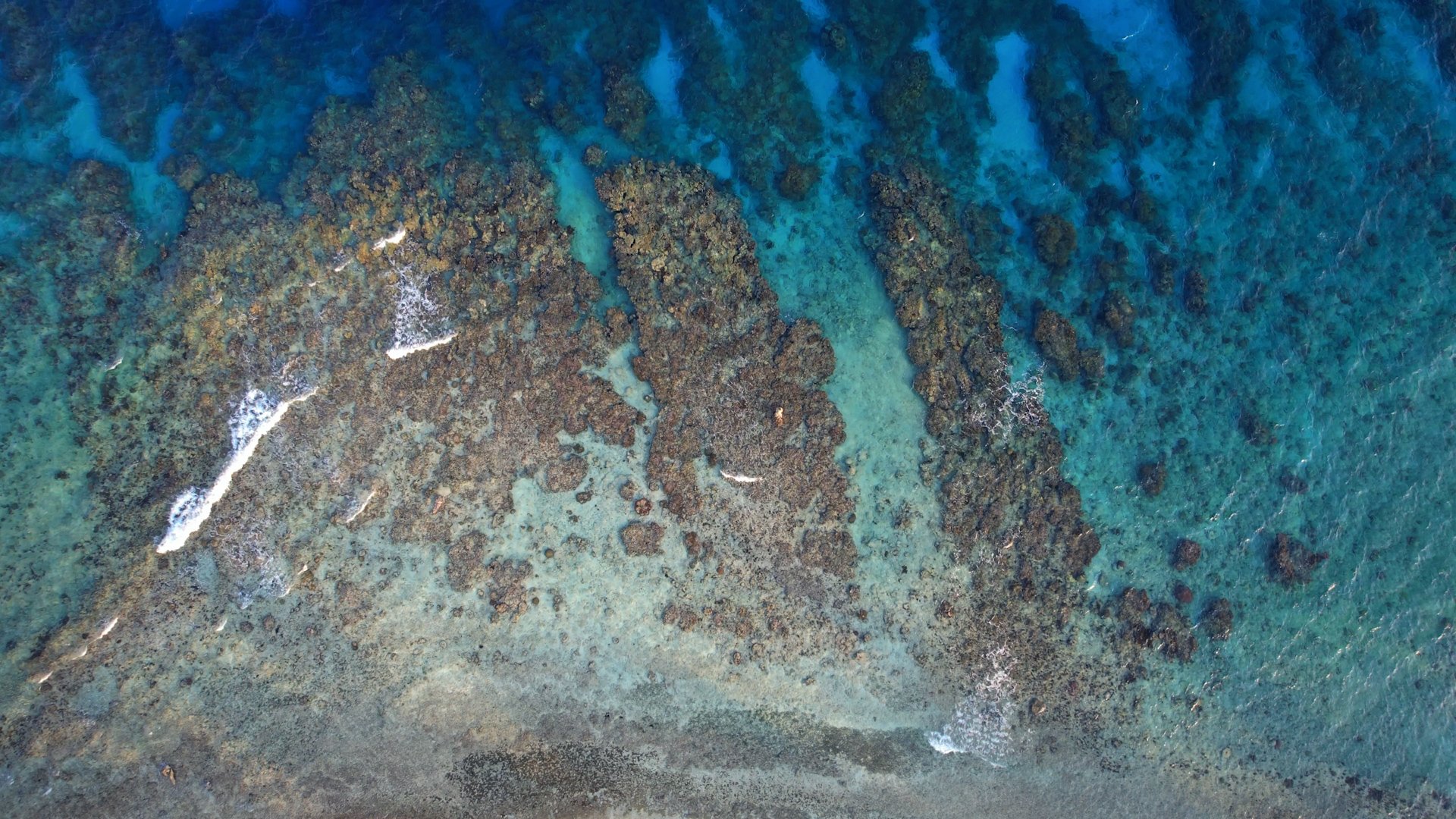 Aerial view of a rocky shoreline with patches of clear blue water and waves crashing onto the rocks.