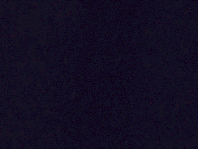 CanCan_3.gif