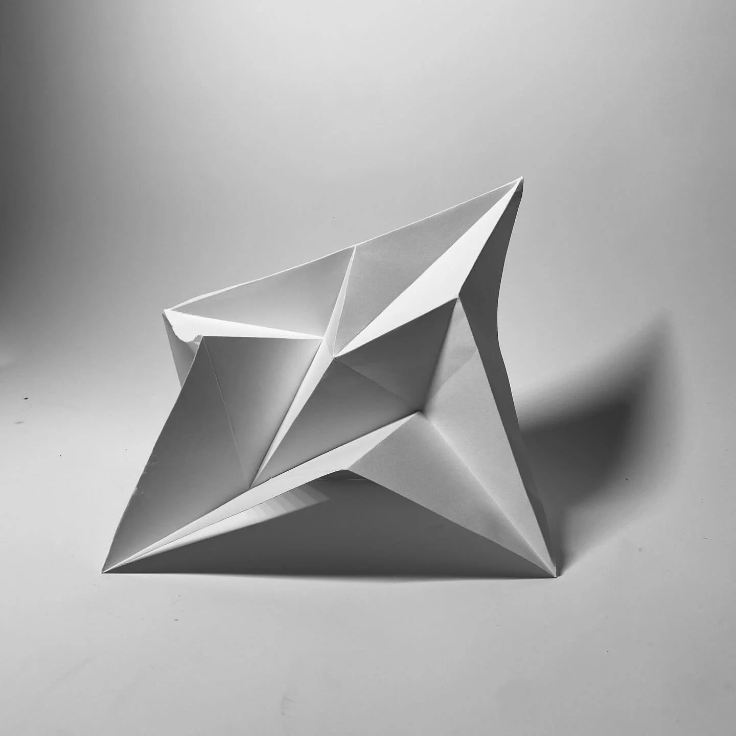 Favorites from my first round of kirigami shadow models for DESG2005! Each of these highlight an abstracted behavior/feature of the Western Leaf-footed bug!