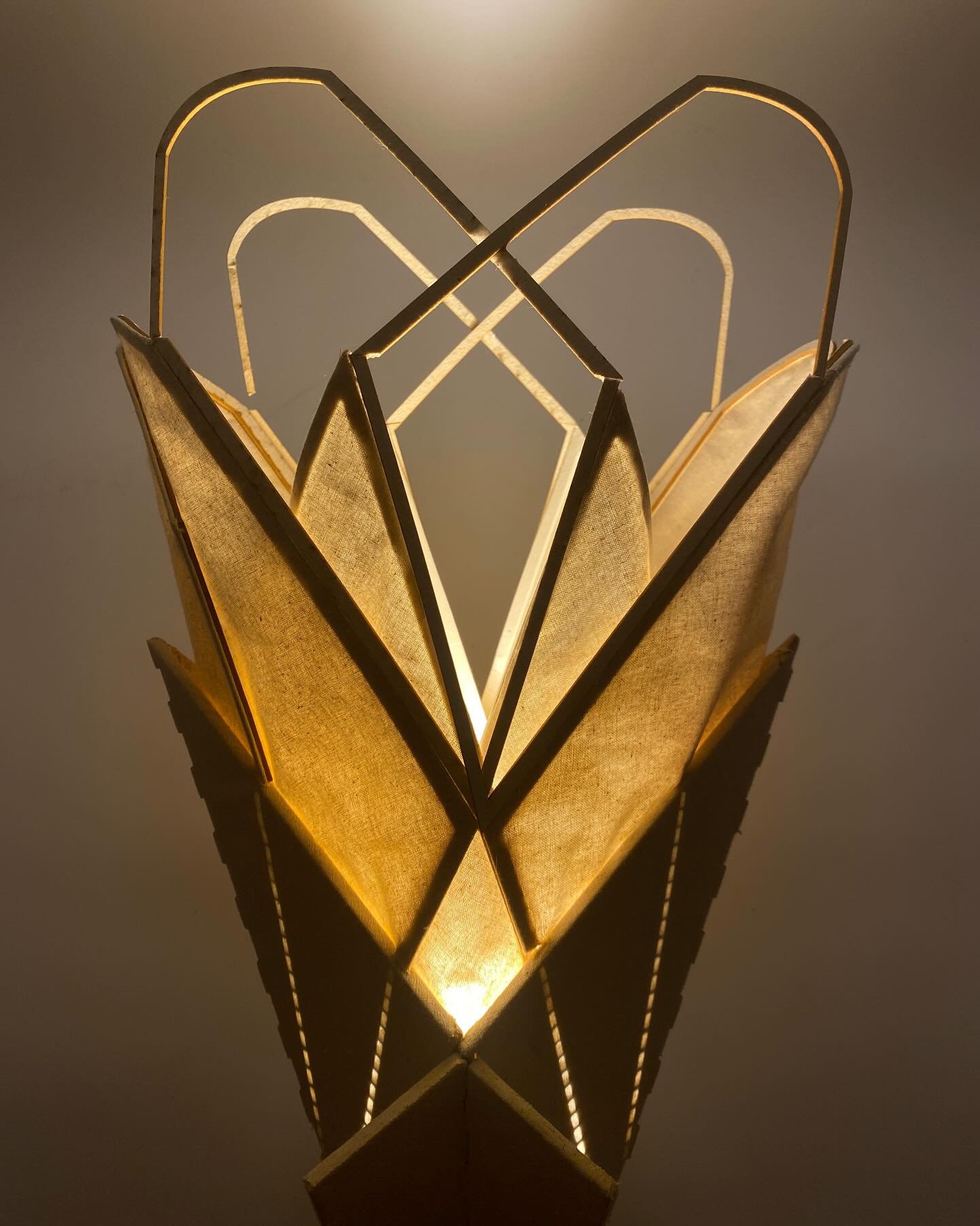 Shielded Spotlight!

An abstract translation of the bilateral symmetry of the Western Leaf-footed Bug and its wing sets. 
 
This is a fully rotational spotlight made with the intent of showcasing a change in structure through light density rather tha