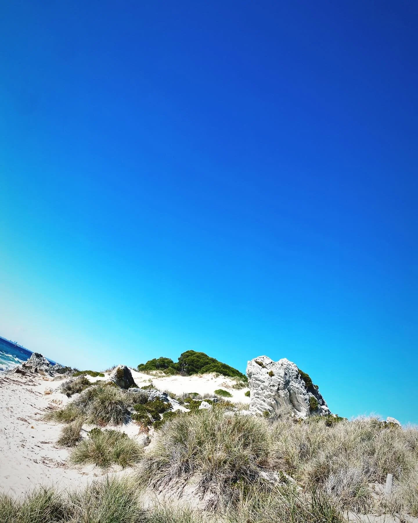 Wadjemup 
Putting the Dora in Explora

🌎🌊🗺️⚓️🍸

#wadjemup 
#rottnestisland
#rotto 
#doratheexplora 
#adventurebarbie