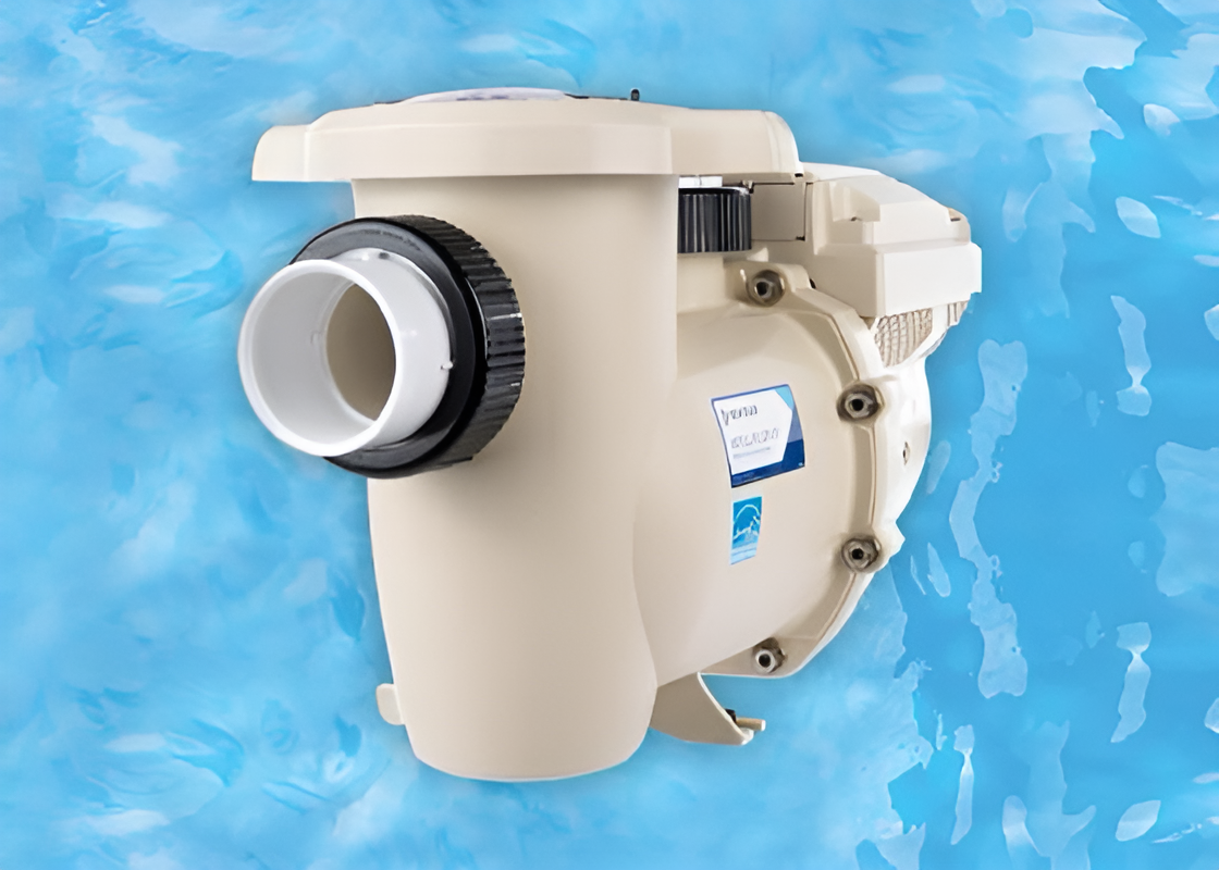 WhatsApp Image 2025-01-08 at 4,43,04 PM_enhanced.jpeg