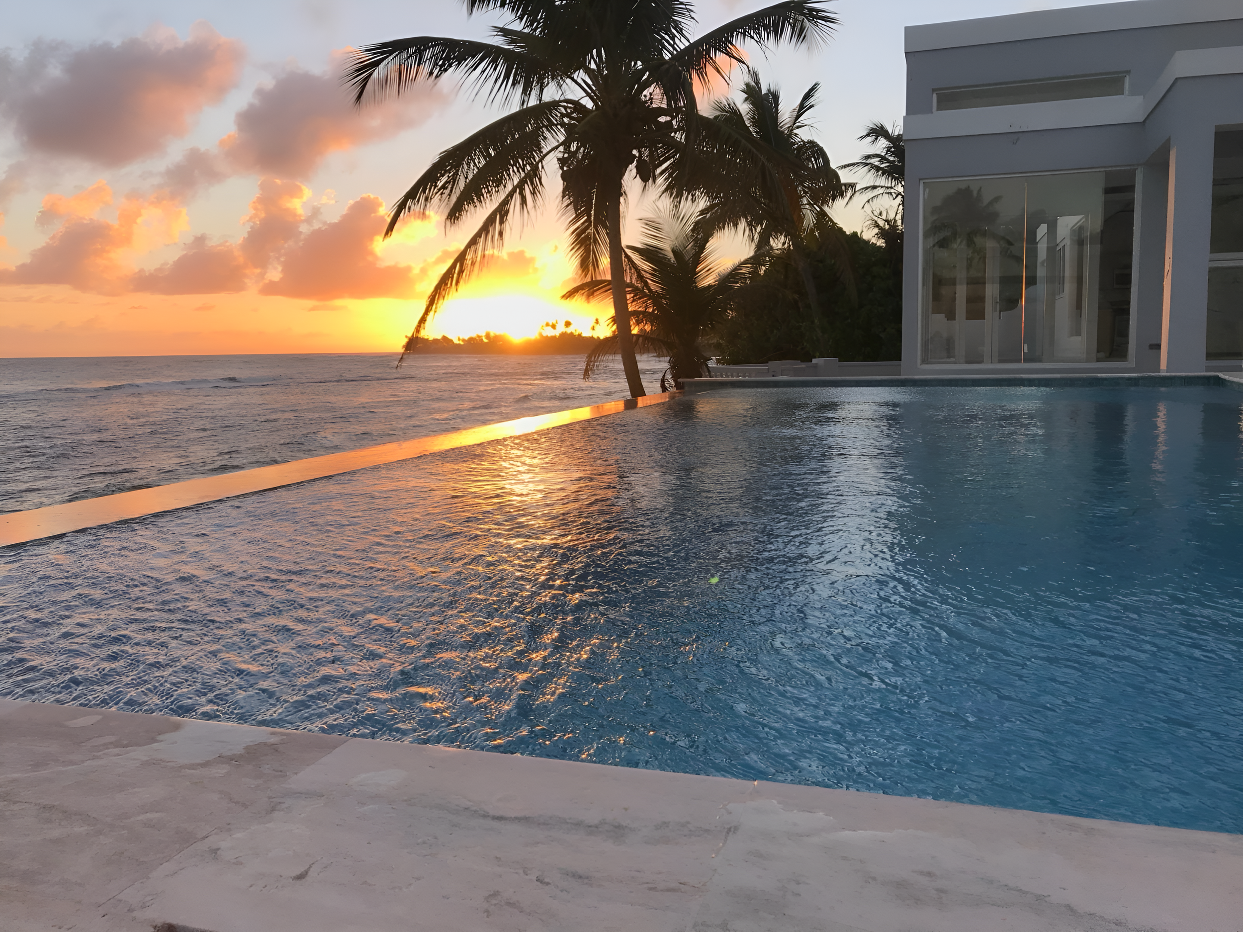 WhatsApp Image 2024-12-27 at 6,31,20 PM (1)_enhanced.jpeg