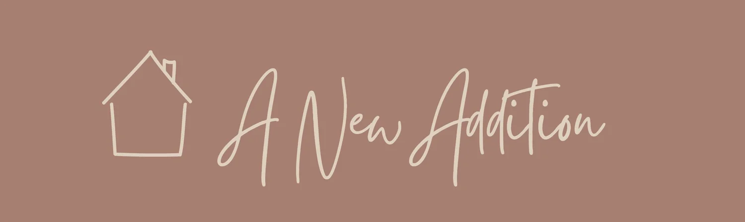 A New Addition: Interior Designer