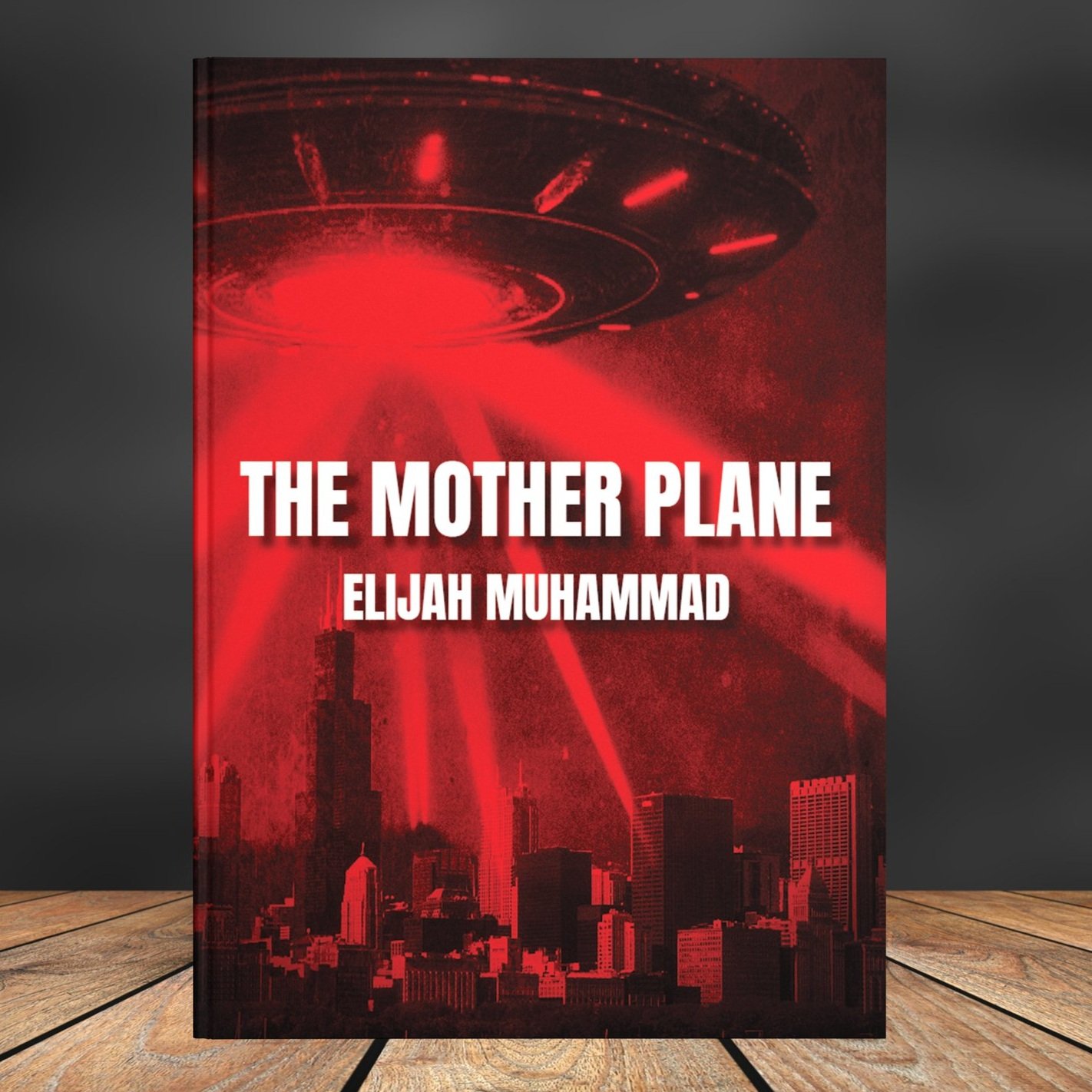 The+Mother+Plane+Paperback+3D.jpg