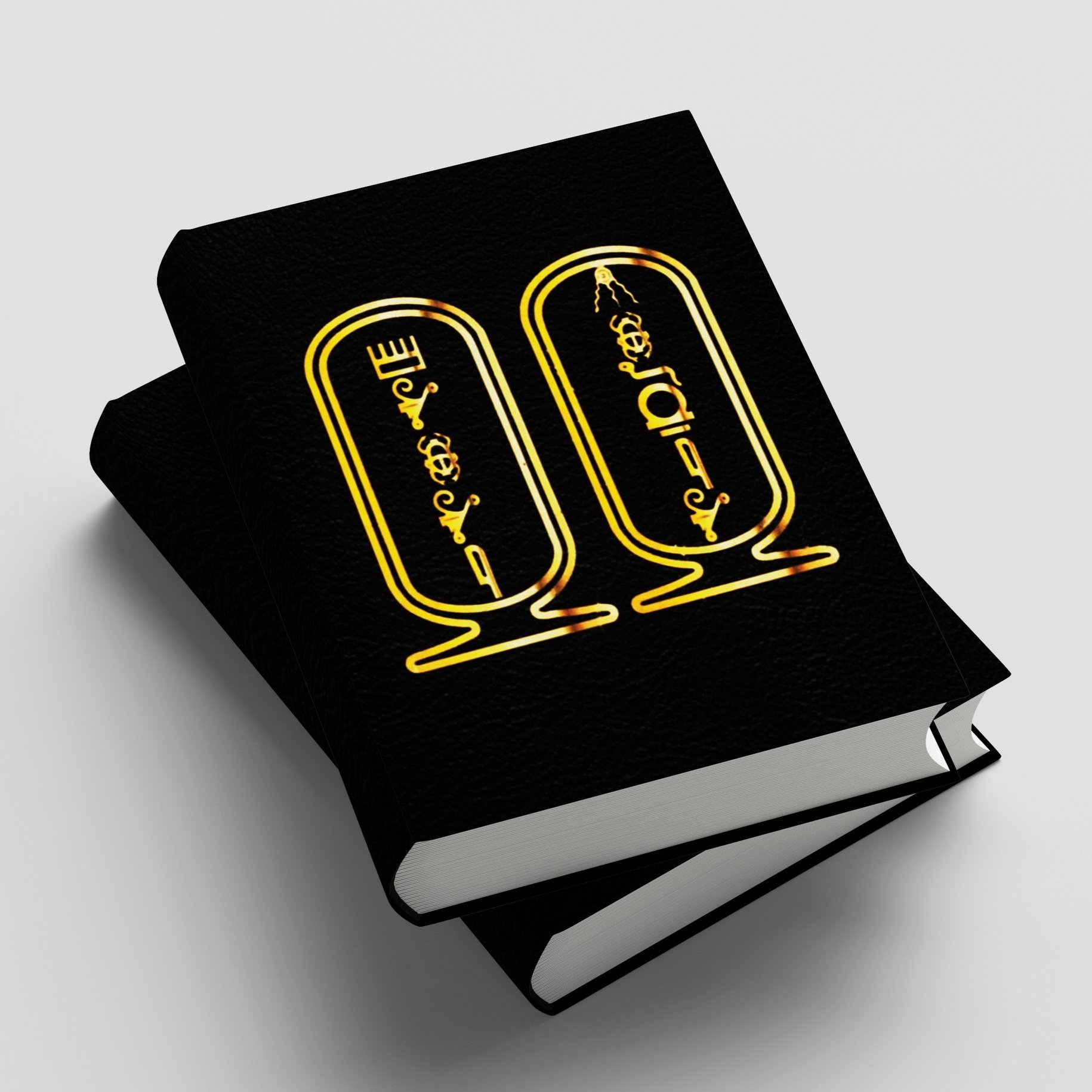 Black+Book+3D.jpg