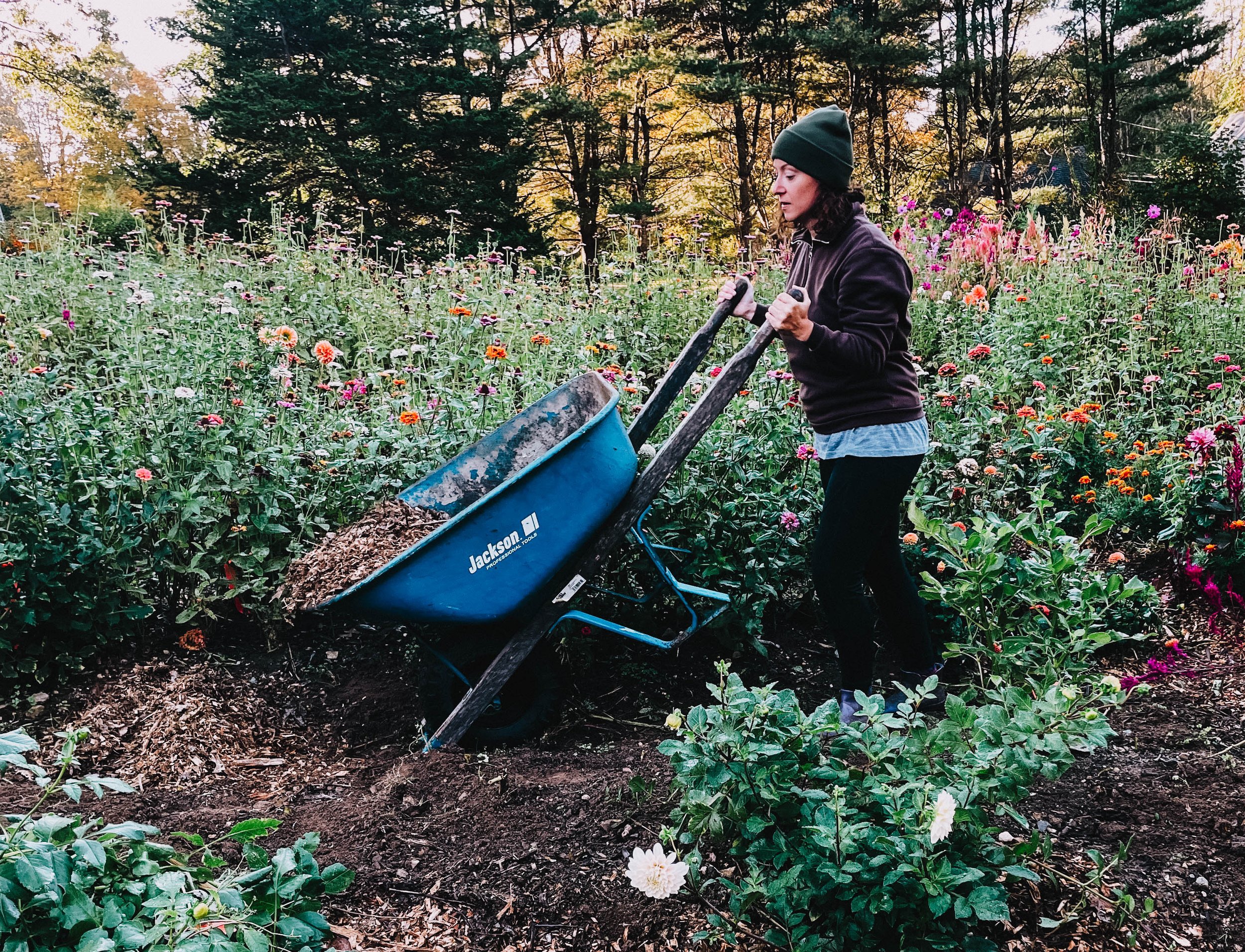 What is a Flower CSA?