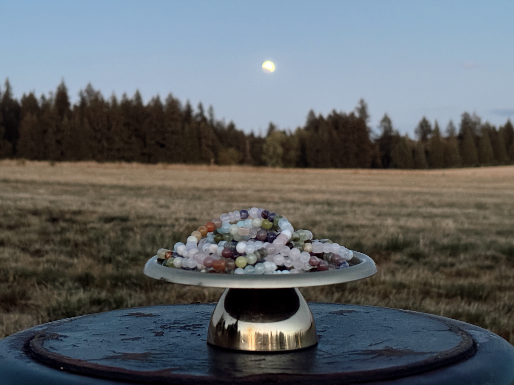 Pisces Adornments Under the Full Moon Lunar Eclipse