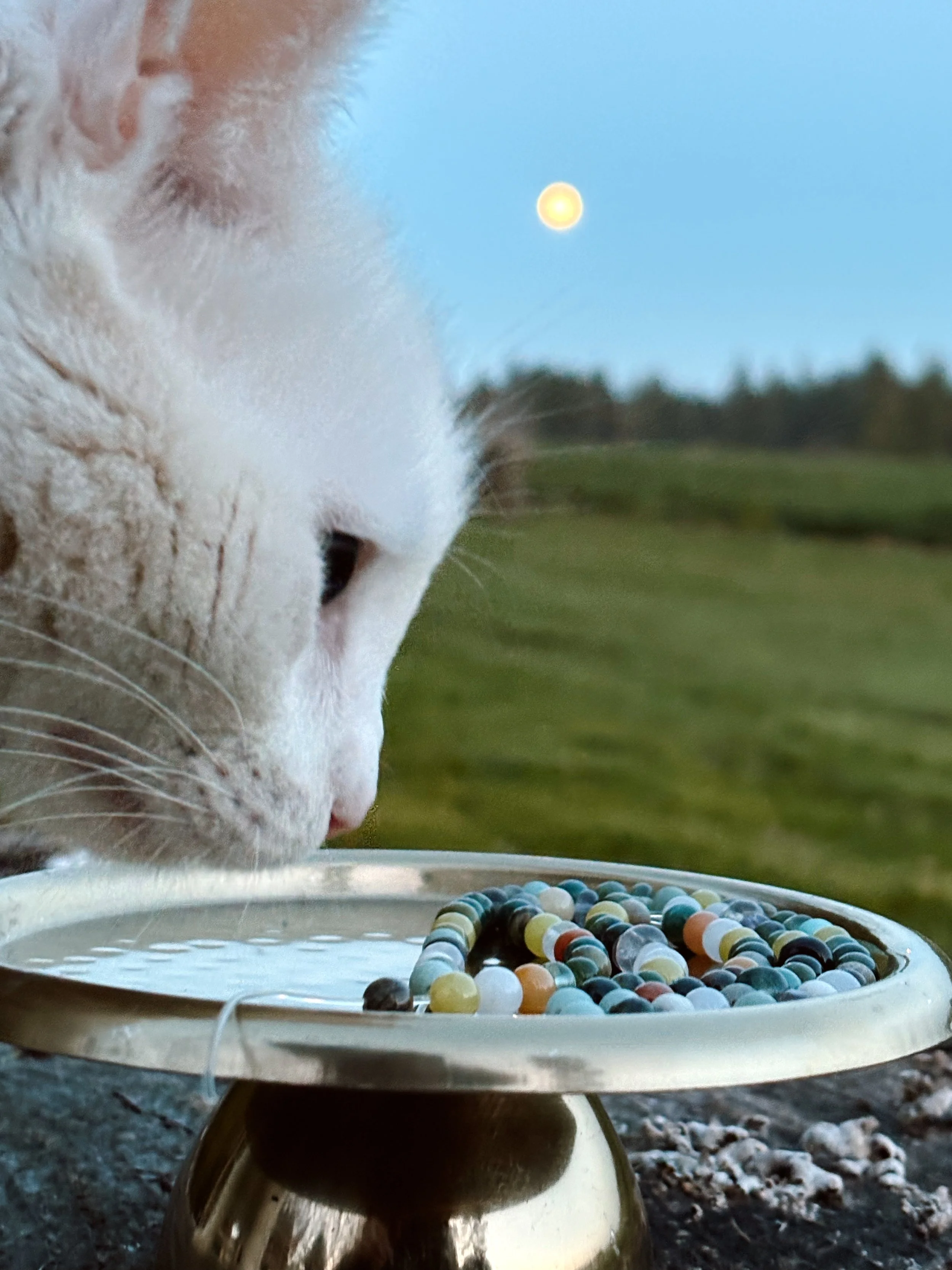 An extra dash of love for this recipe. 