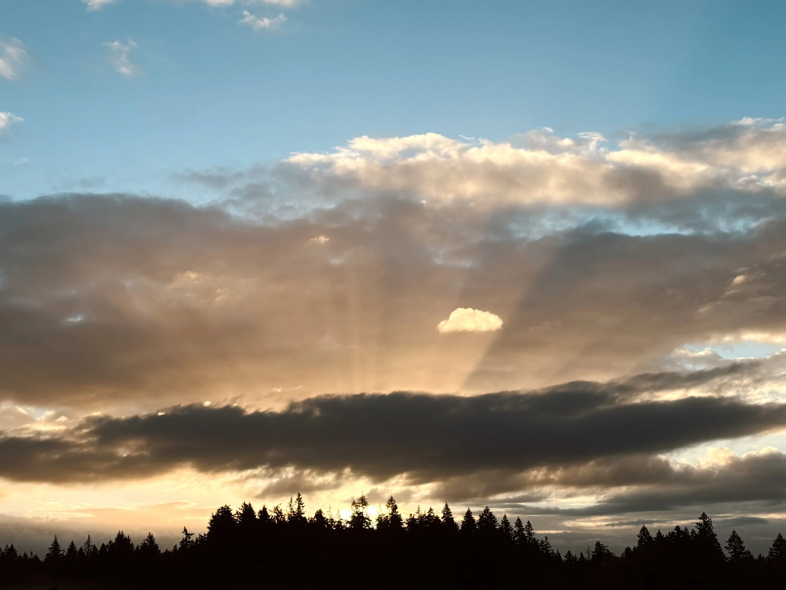 Libra season sunrise, Magic Recipe adornments in Oregon.JPG