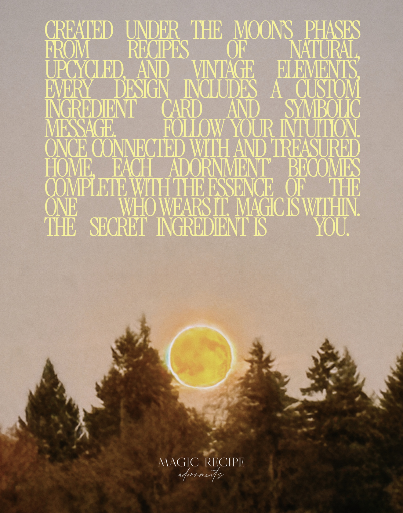 Magic Recipe mantra and bio graphic.png