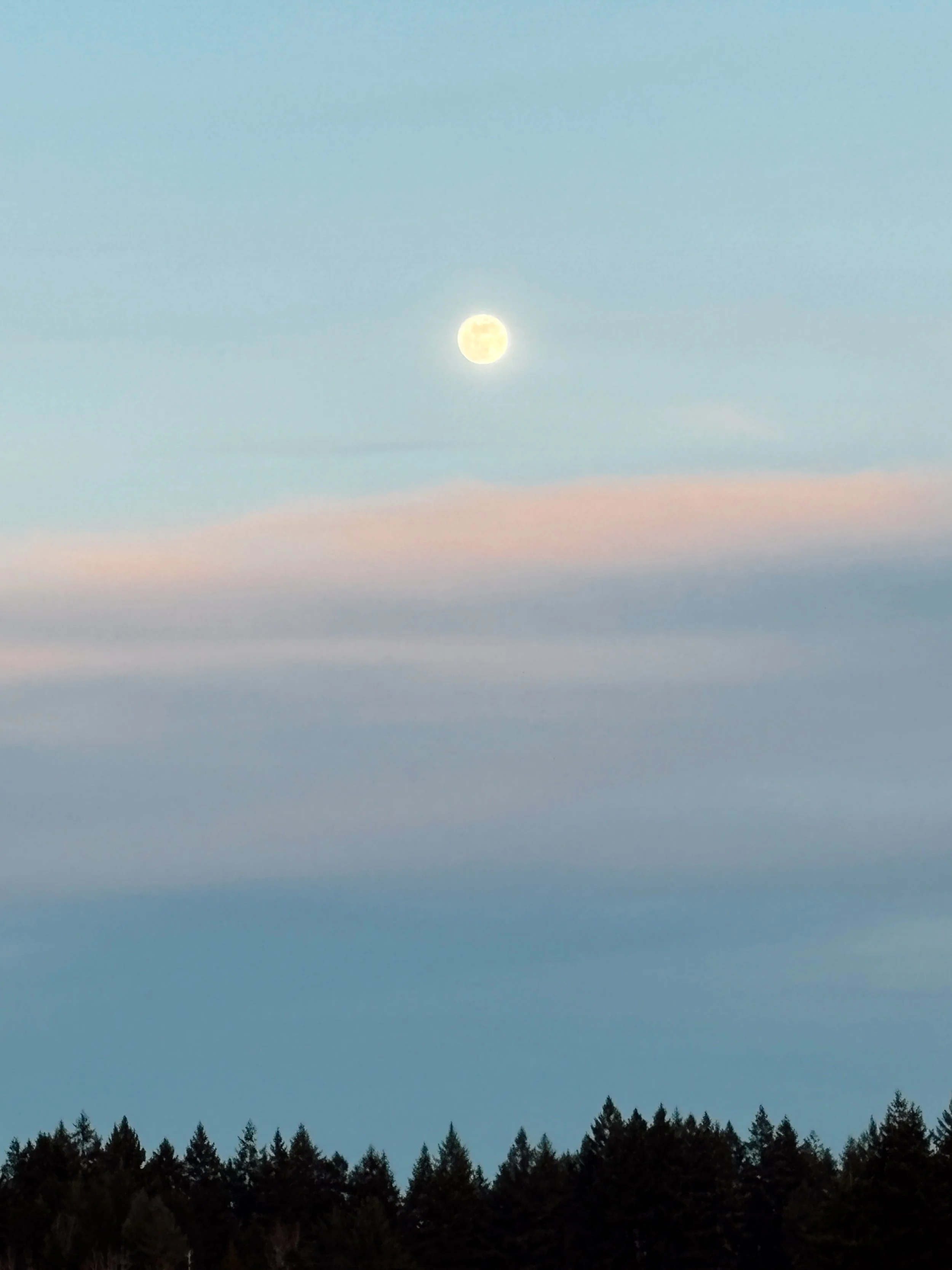 January was a really busy month. I feel so much gratitude in my heart for the work flow, and still there is a reminder in my body to not push beyond my limits like I used to when I was younger. An invitation to stay grounded and share boundaries in a