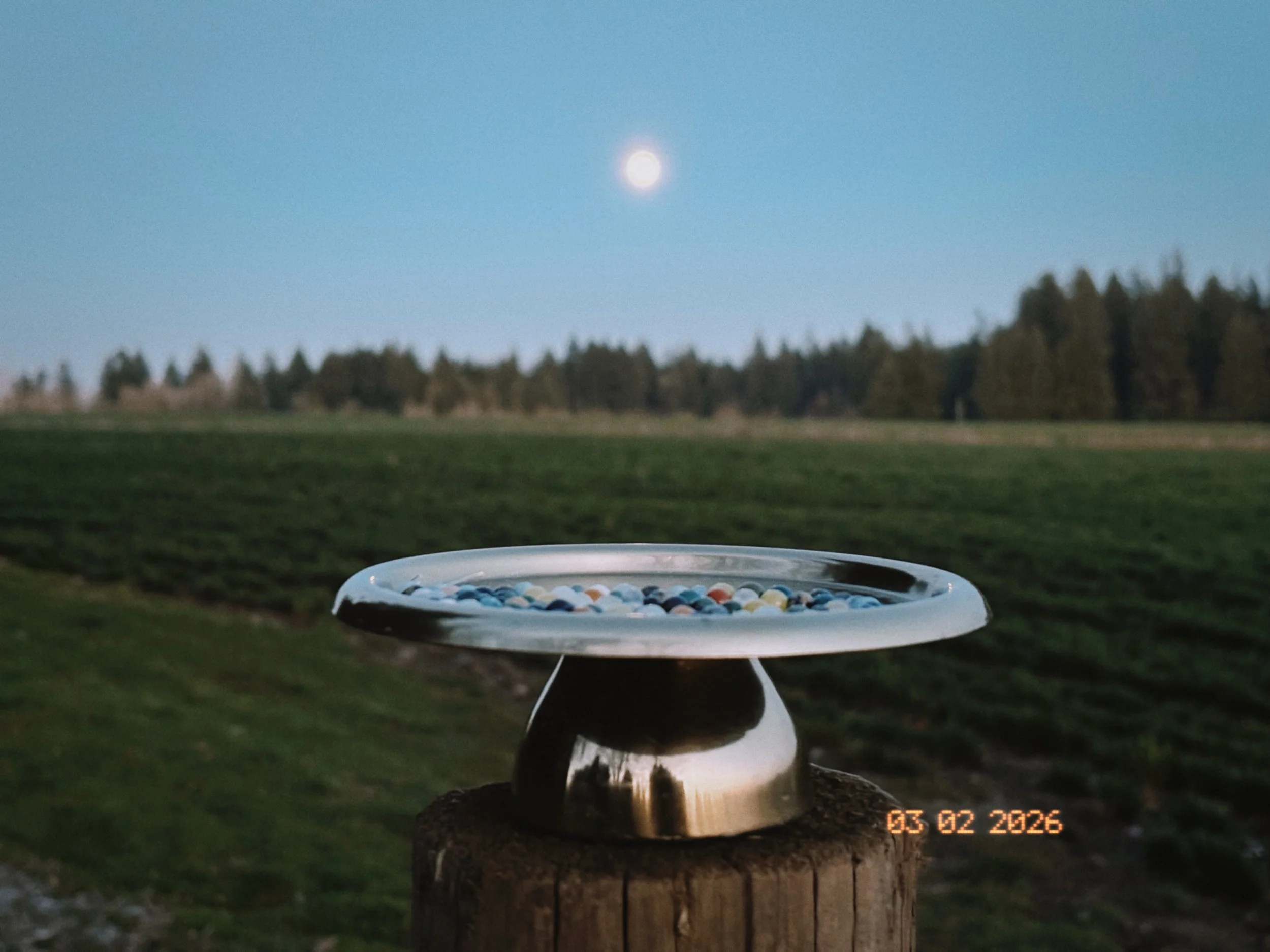 The timing of the full moon with the new birth chart collection felt like flow and serendipity. Coming outside to soak in the rising Virgo full moon with kitty cat and my sweet son nearby to help and play during this process. I woke up to welcome lov