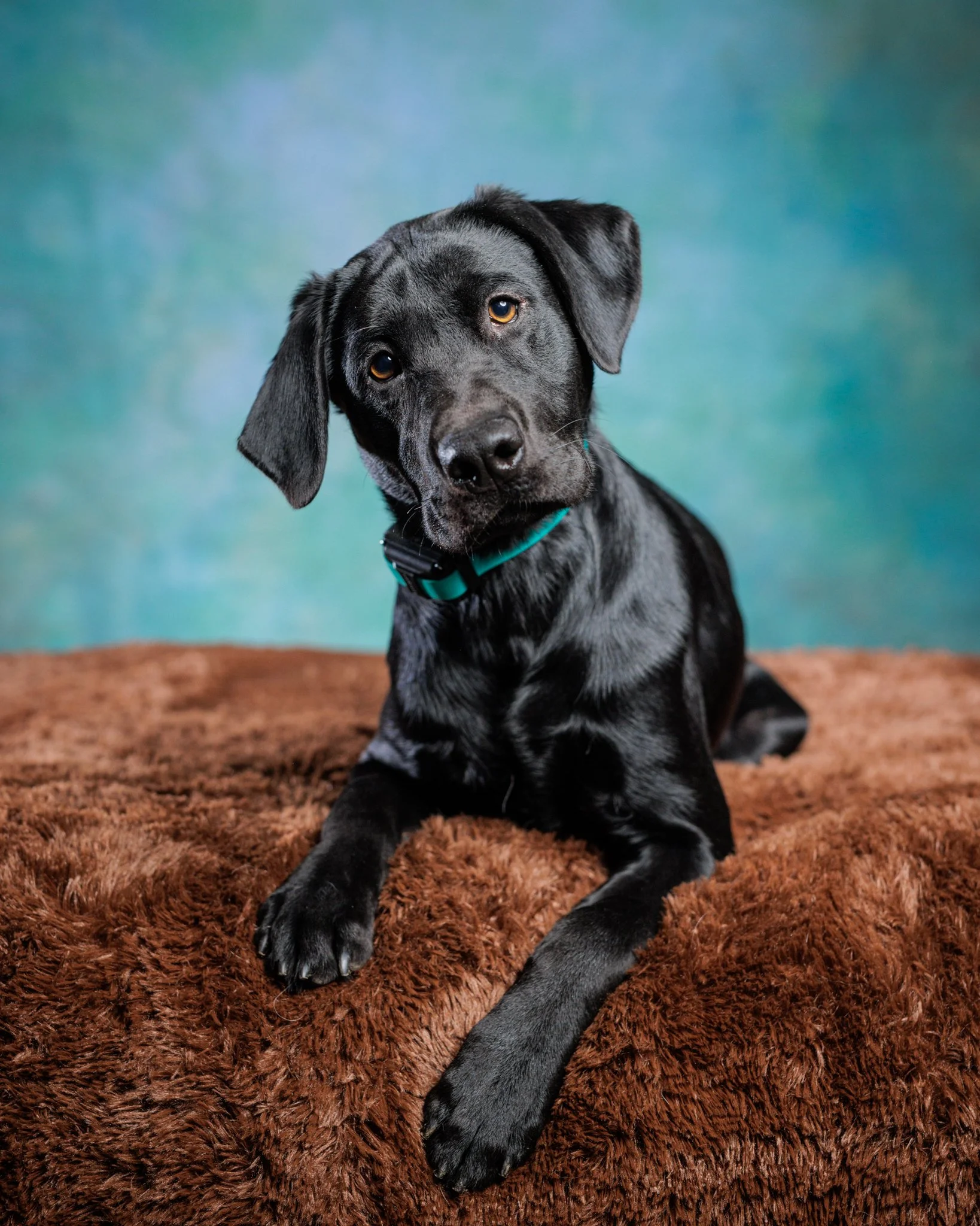 08-14-26 Milo