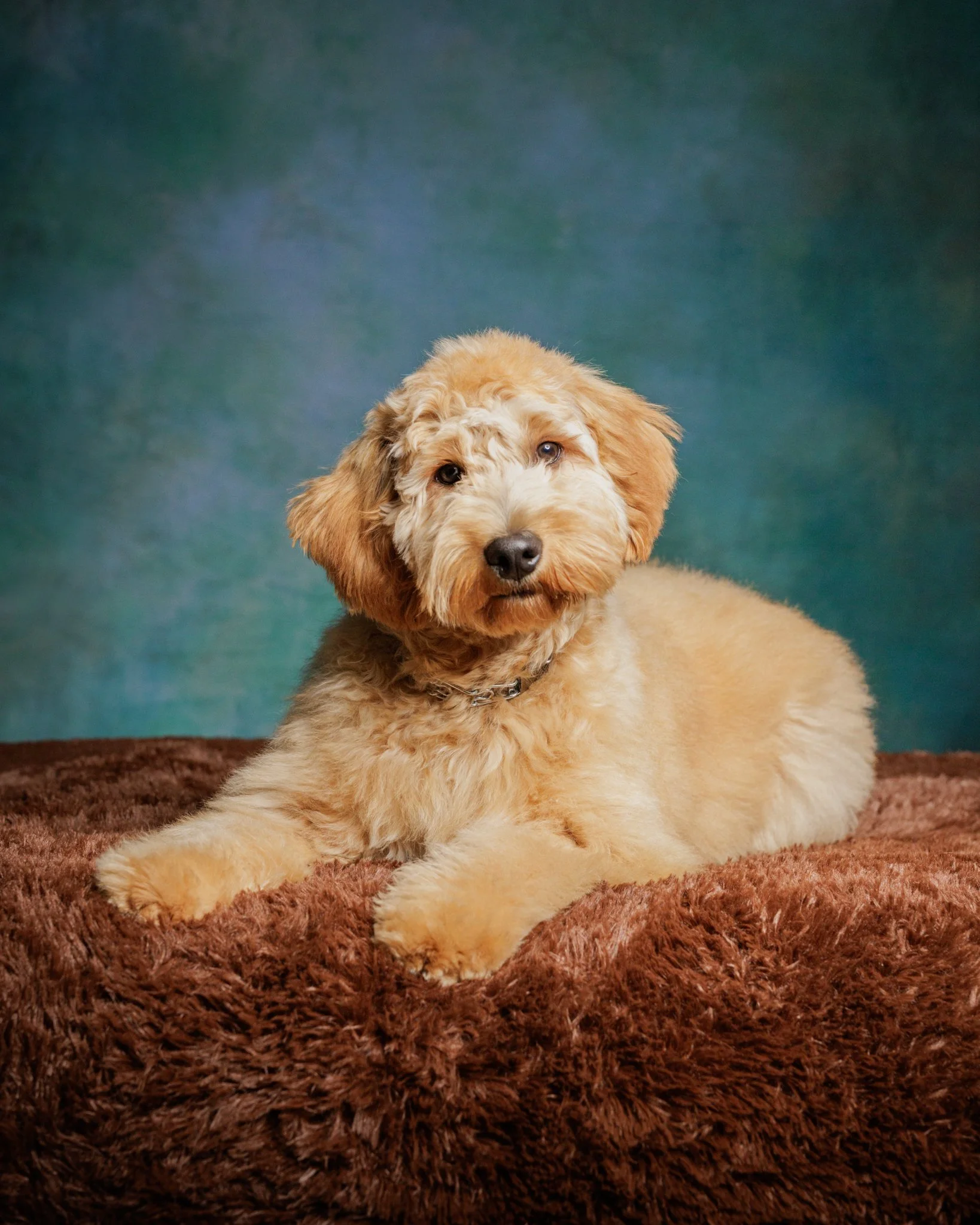 04-17-26 Murphy