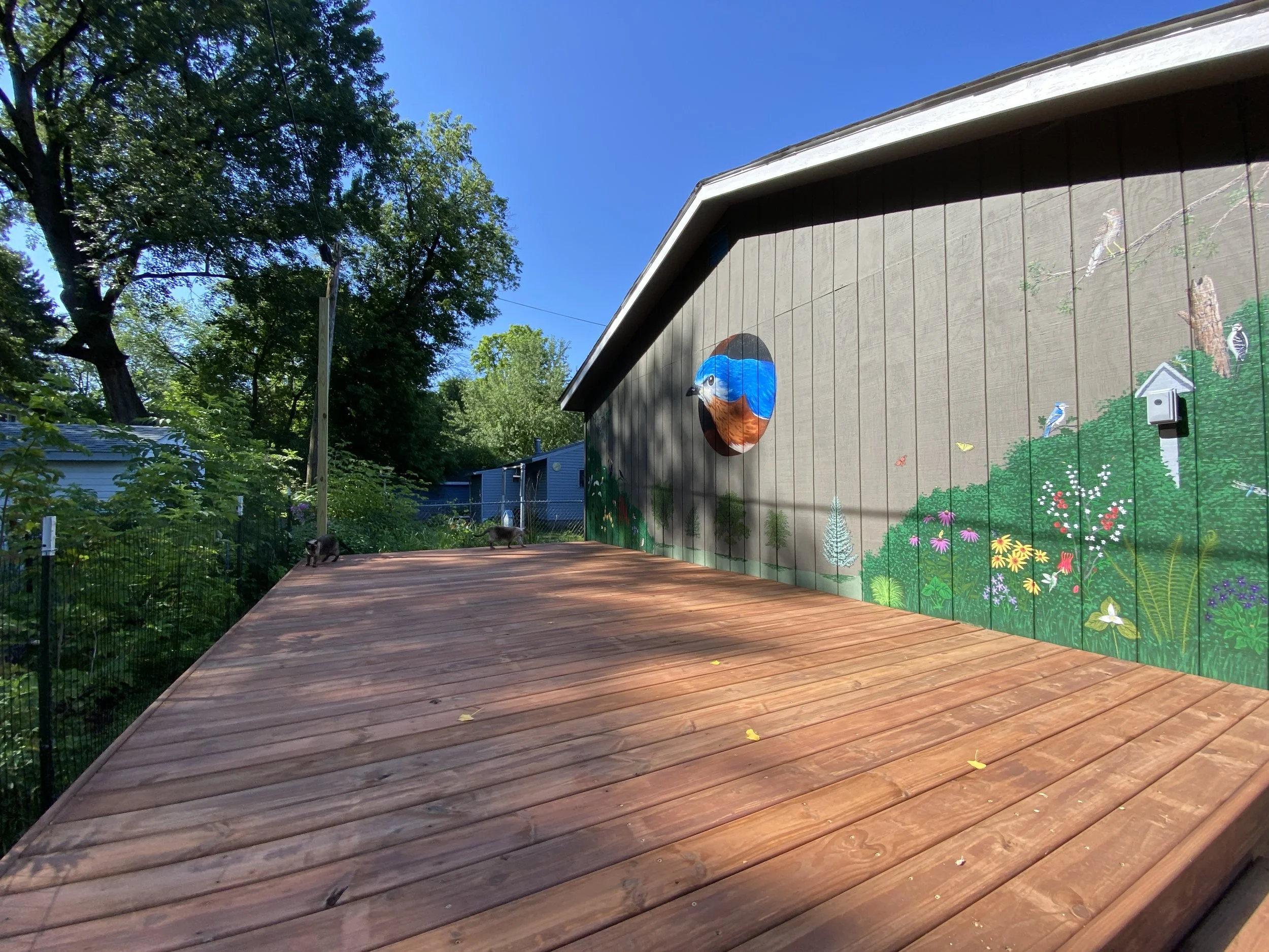 There’s Now an Outdoor Classroom! 