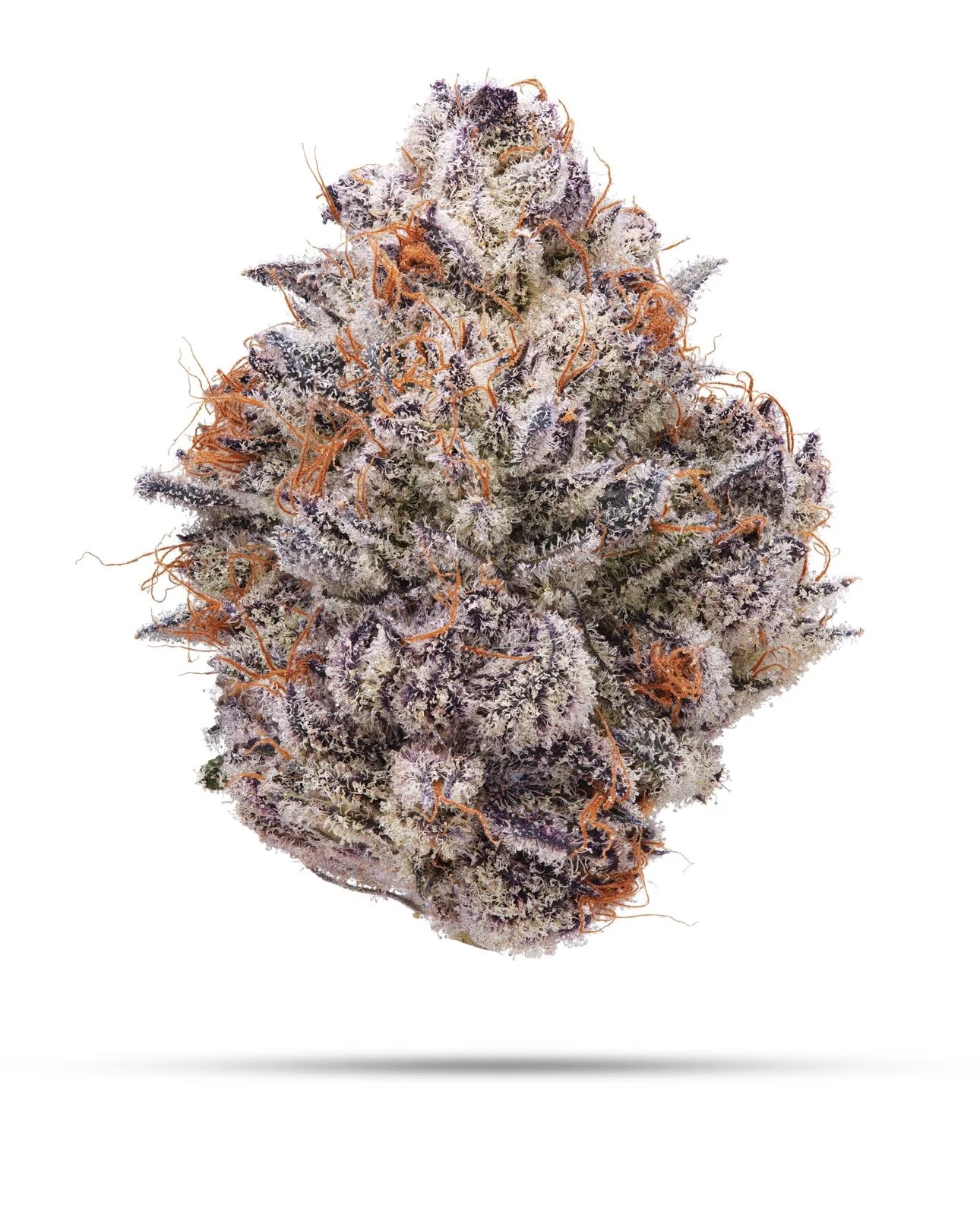 SUPER BOOF | CHERRY PUNCH x TROPICANA COOKIES | BLOCKHEAD