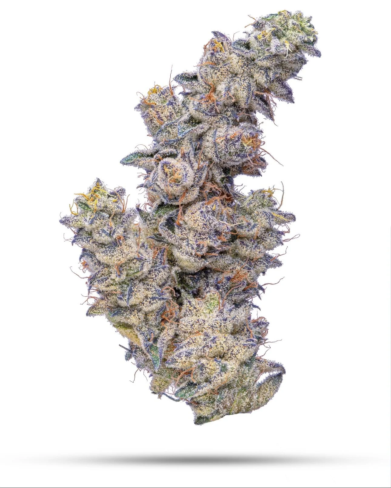 BLUEBERRY BREATH | CREAM POP x PEANUT BUTTER BREATH | CMS GARDENS