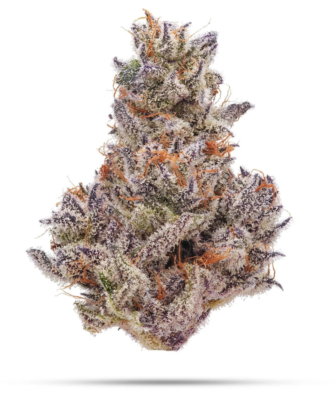 STRAWBERRY CREAM CAKE | STRAW GUAVA x GRAPE CREAM CAKE | BLOOM SEED CO.