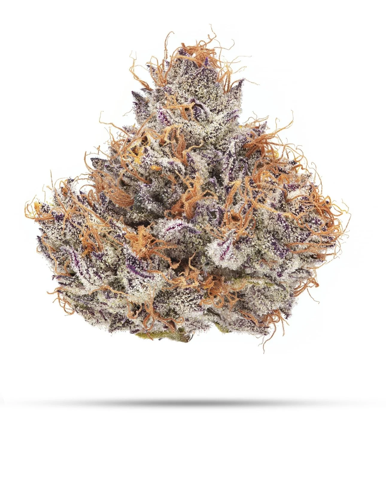 CANDY FUMEZ | ZKITTLEZ x SHERBANGER | BLOOM SEED CO.