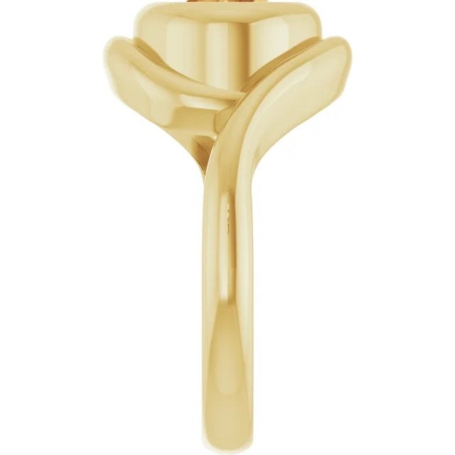 citrine 4.jpeg