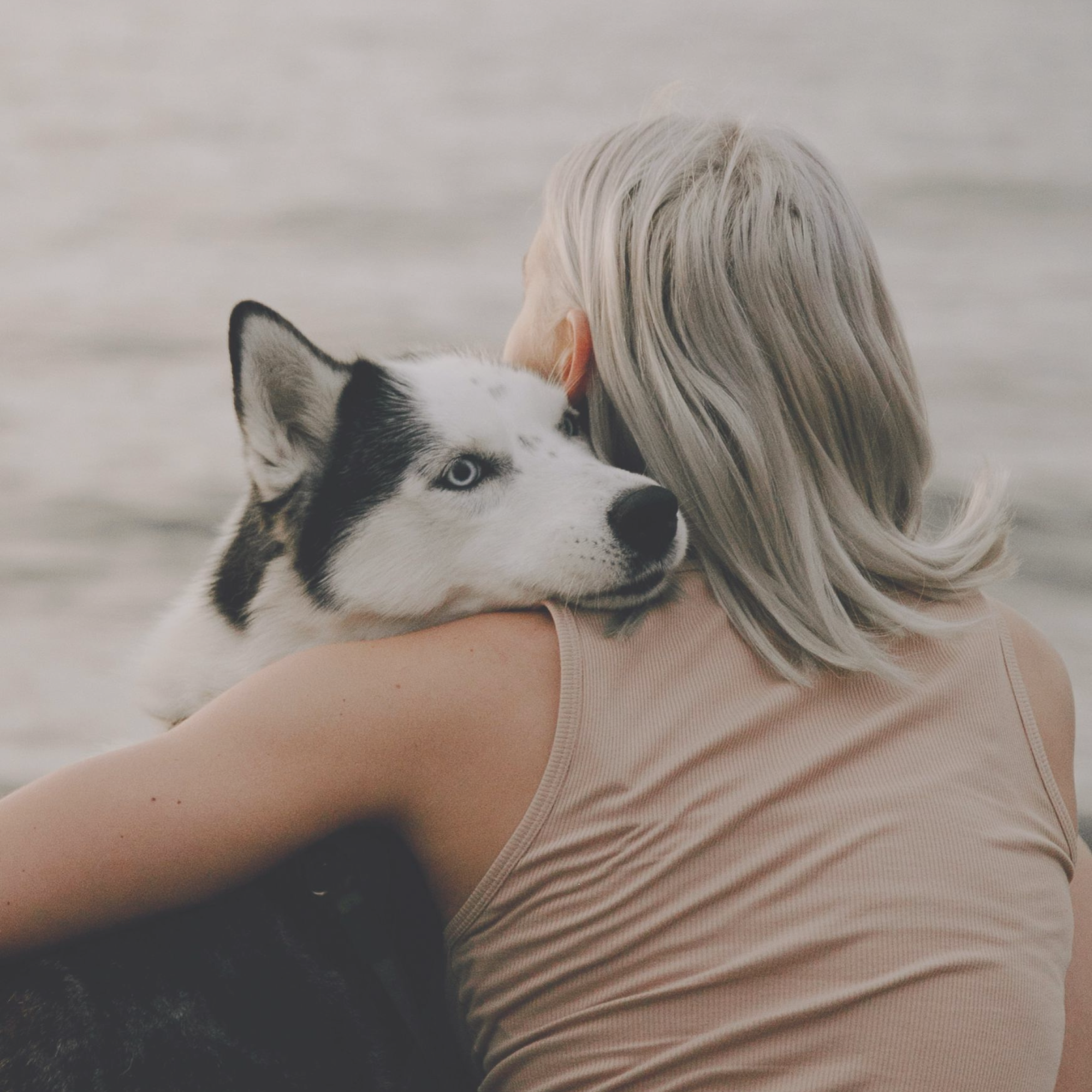 5 Ways to Soothe Your Pet Loss Grief: Finding Comfort Through the Senses