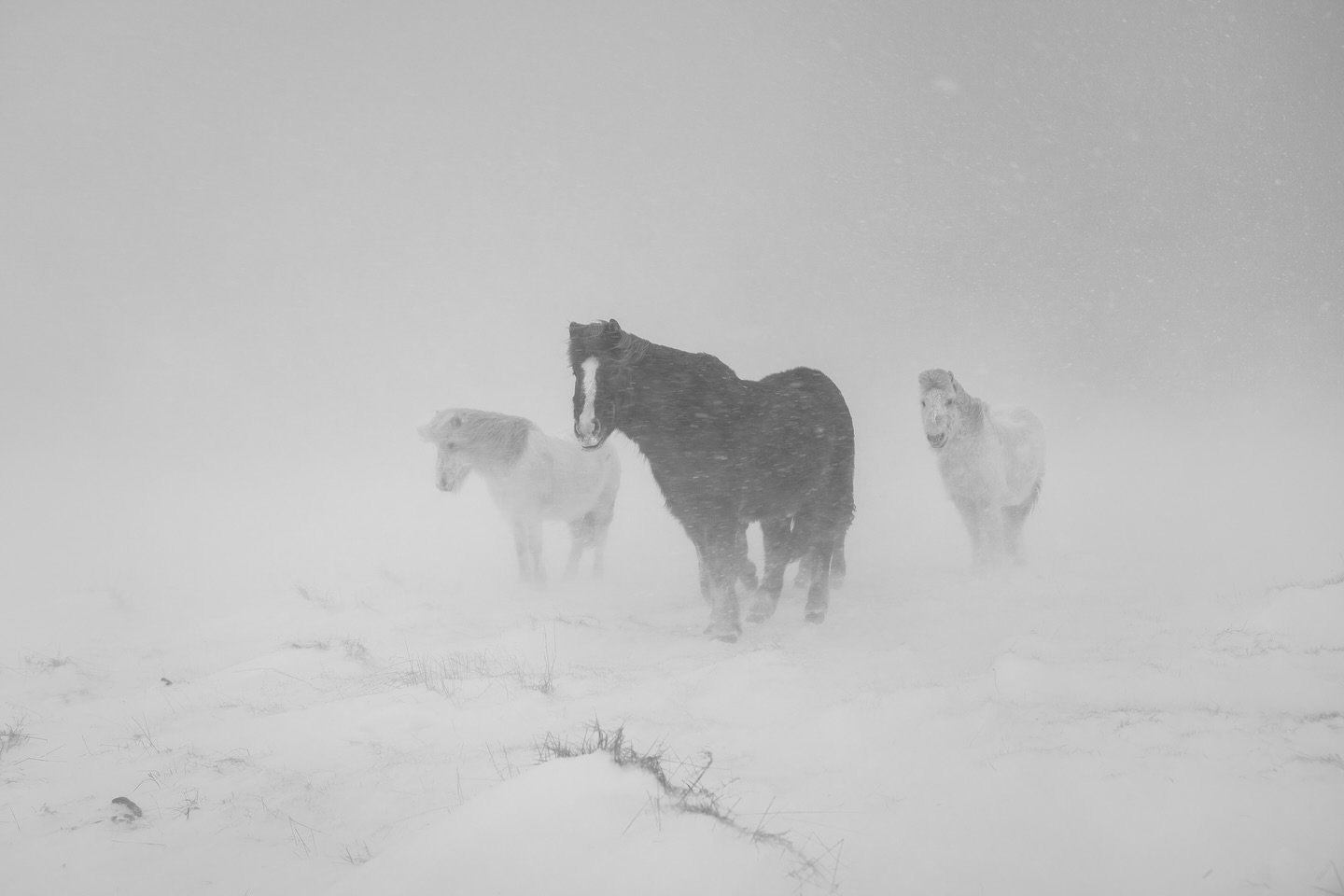 Braving the storm 🌪️🌨️ Iceland is currently facing one of the worst weather events in the past decade. Wind speeds are exceeding 50 m/s and heavy rain that&rsquo;s causing widespread flooding.
So yeah&hellip; if you&rsquo;re in Iceland, stay safe a